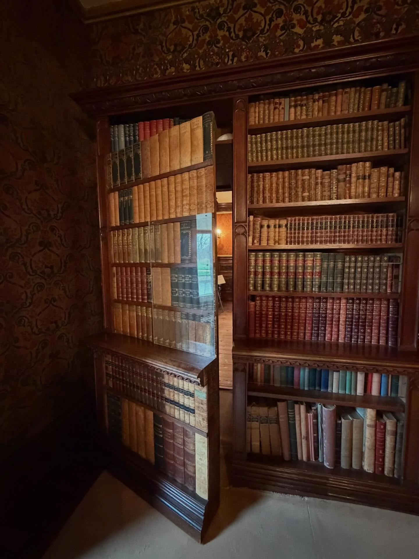 Yesterday we went to Oxburgh Hall with my aunt and uncle and we found (were shown by a volunteer) A SECRET BOOK DOOR IN THE LIBRARY. It had fake, funny titles on the fake books. If you&rsquo;ve read my books you will know that there is one where a hi
