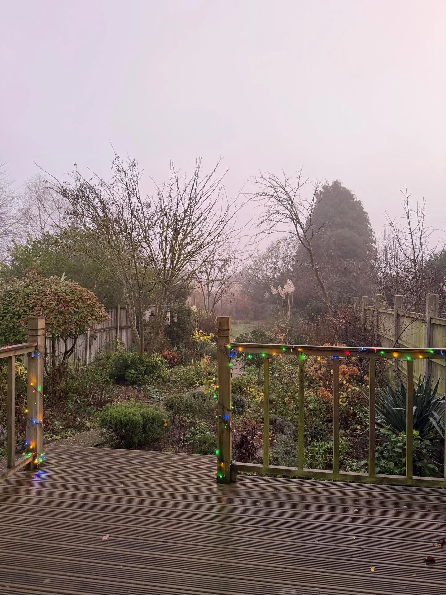 This morning it is foggy so I put the lights on. ✨

#authorsofinstagram