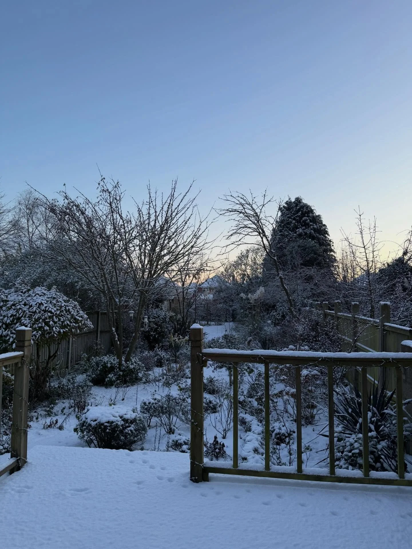 I have spent quite a bit of the Xmas break in my office working on my book, but today feels like proper First Day Back, which I love. 
❄️ Another snow pic because there has been more overnight and the sky is pretty
❄️ Pink clouds 
❄️ This postcard ca