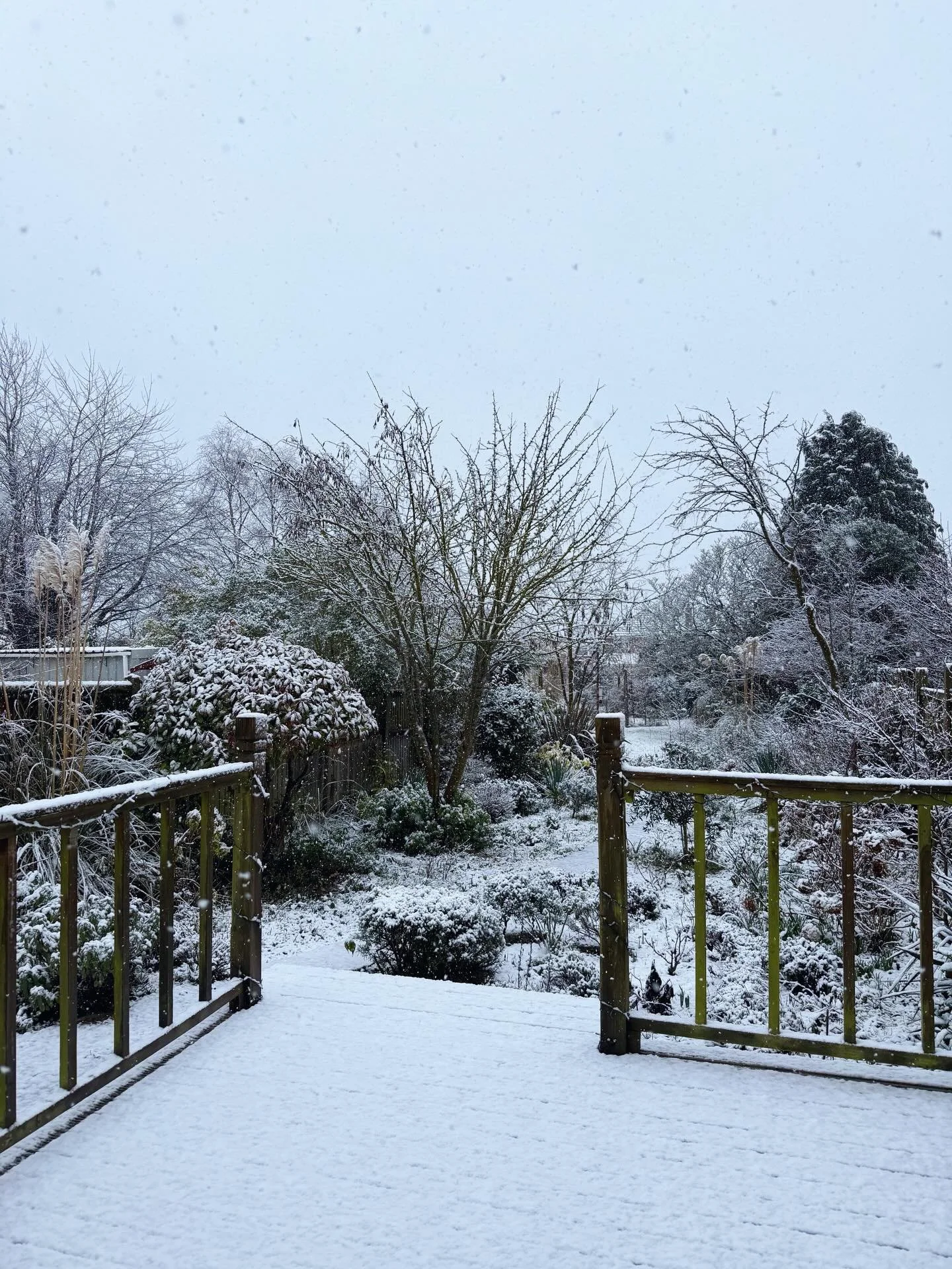 Yesterday we drove back from Nottingham in sunshine so blinding I had to unearth my neglected sunglasses, and then I forgot to post anything for Valentine&rsquo;s Day even though I am a romance writer. 🫣

Today = ❄️🤷🏼&zwj;♀️💕

(It is STILL snowin