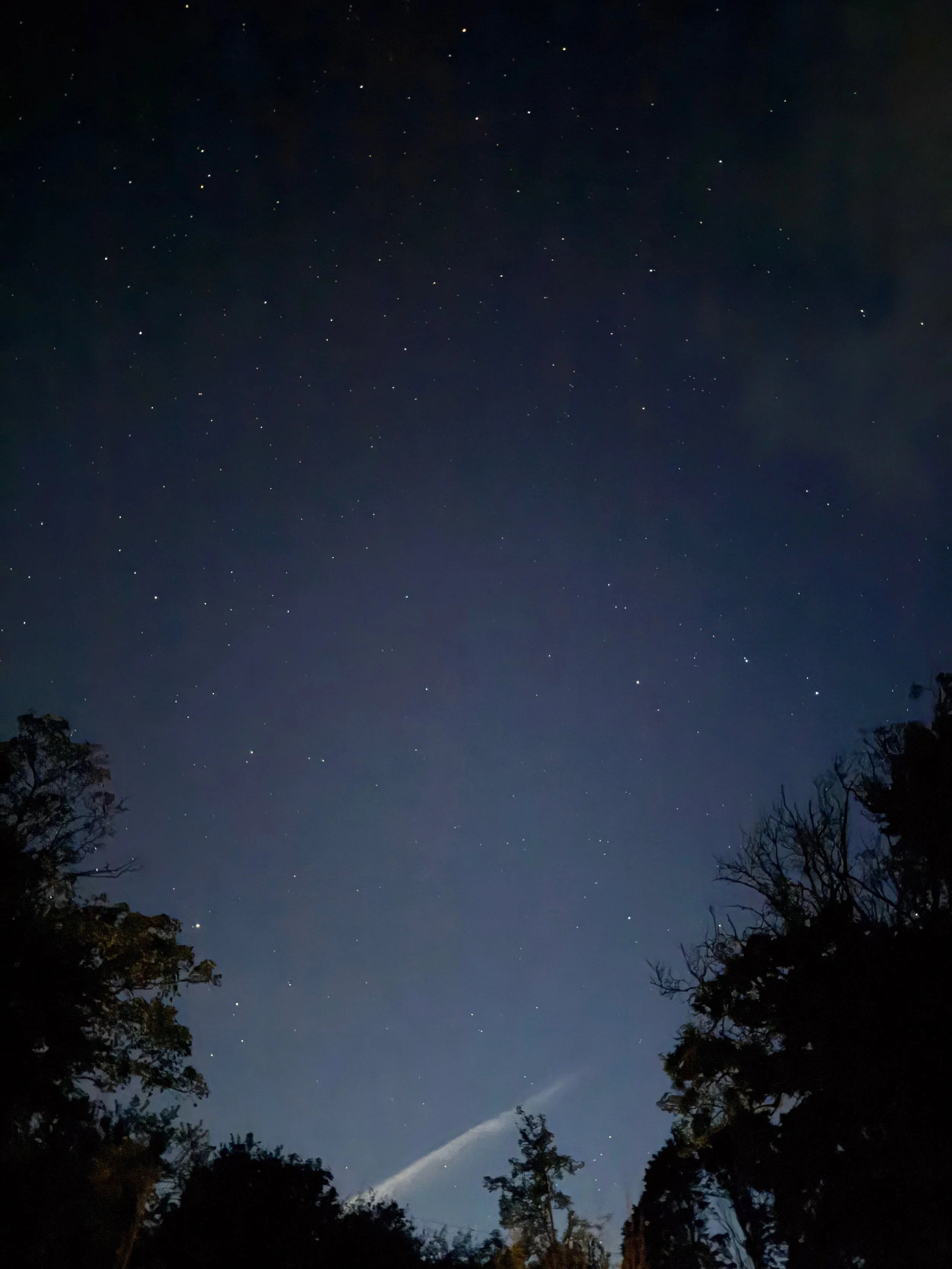 The stars outside our holiday cottage are 😍🤩😍🤩. We have been standing outside listening to at least three tawny owls shrieking and who-whooing, while all these glimmered above us. 

#cornwall #romanceauthorsofinstagram