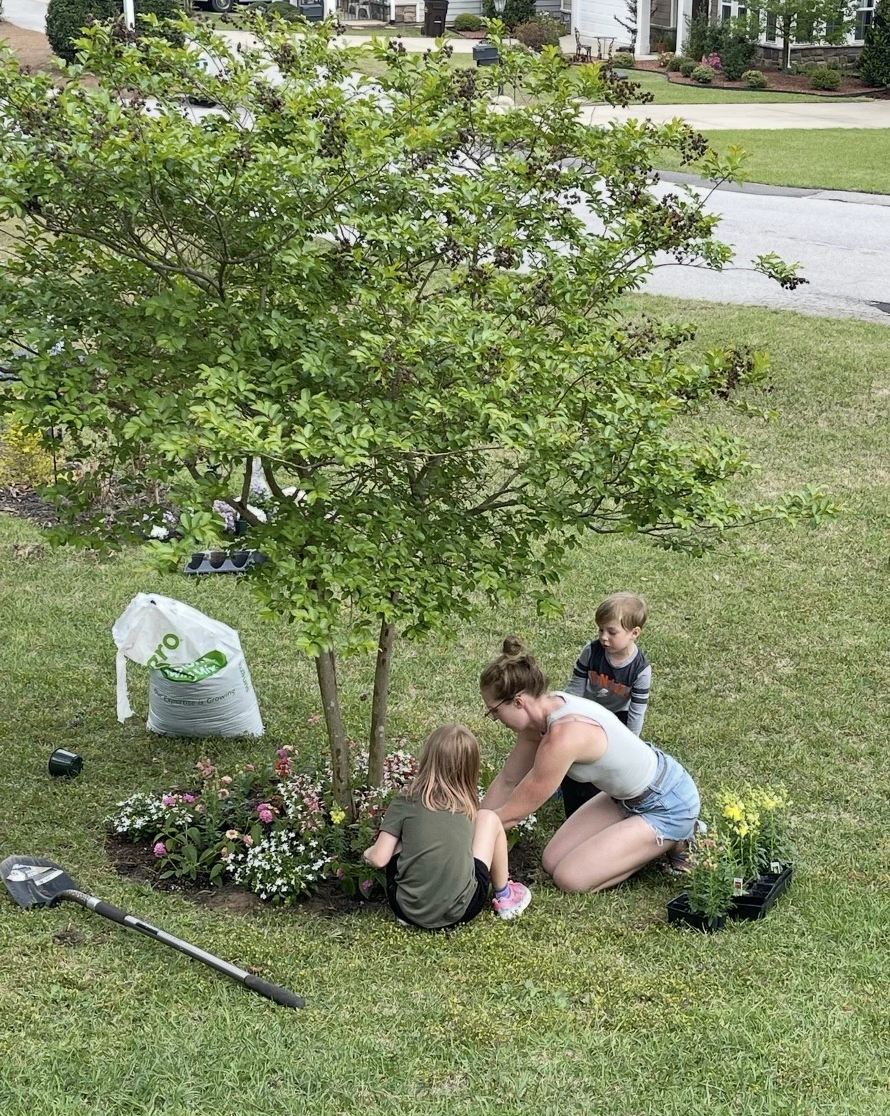 Gardening, Strength, and Nervous System Health