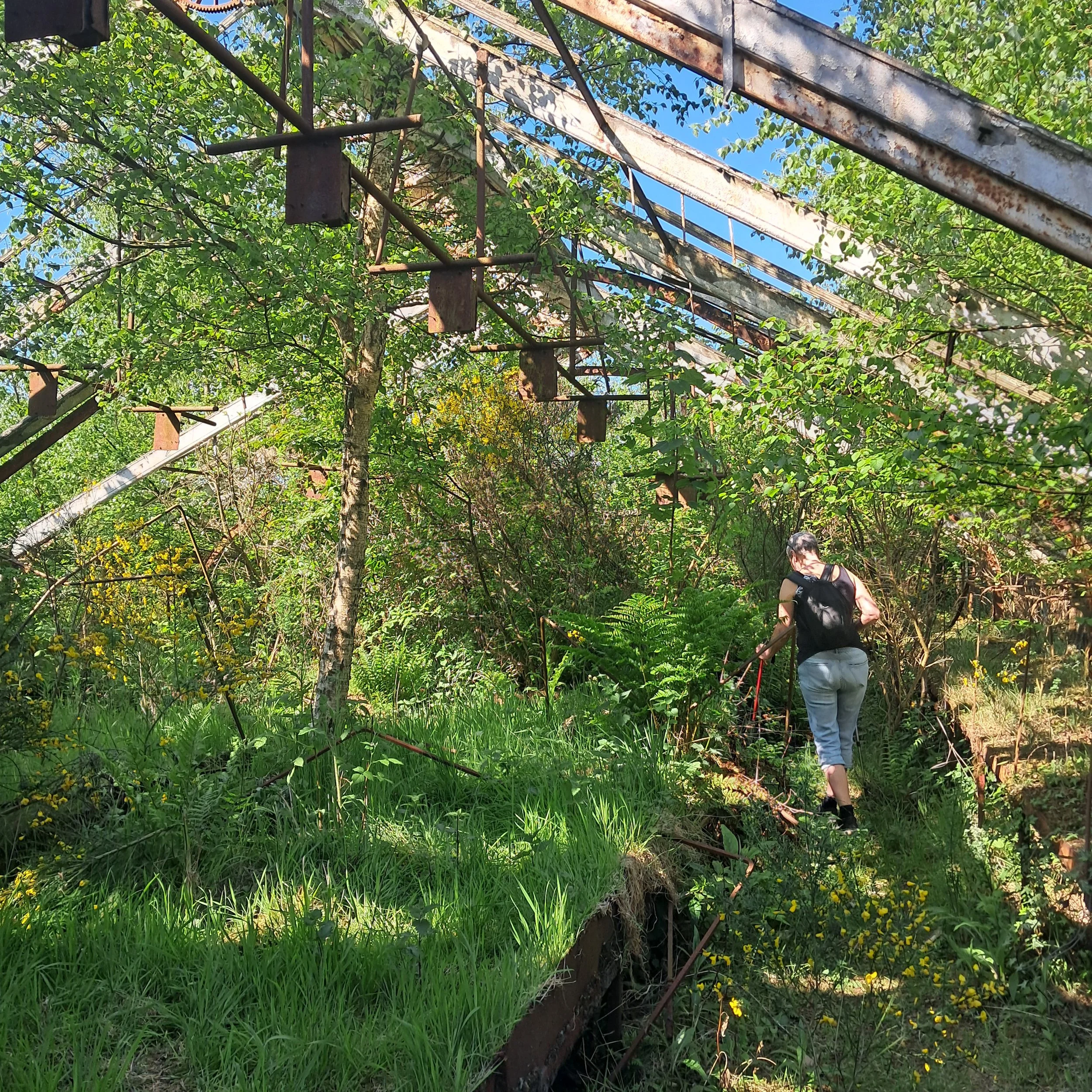 20250513_105356.jpg