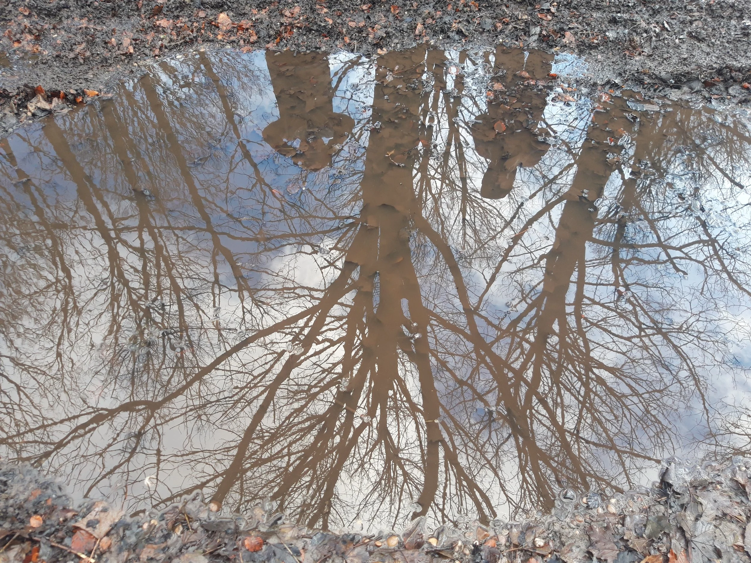 20231129_105806 (1).jpeg