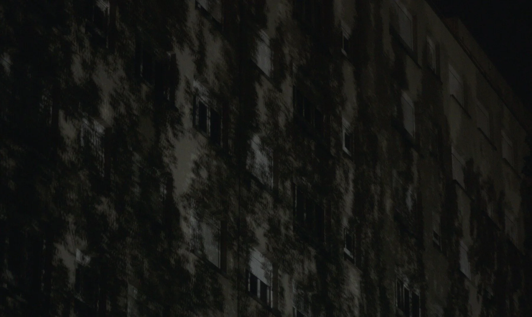 Untitled_1.114.1.jpg