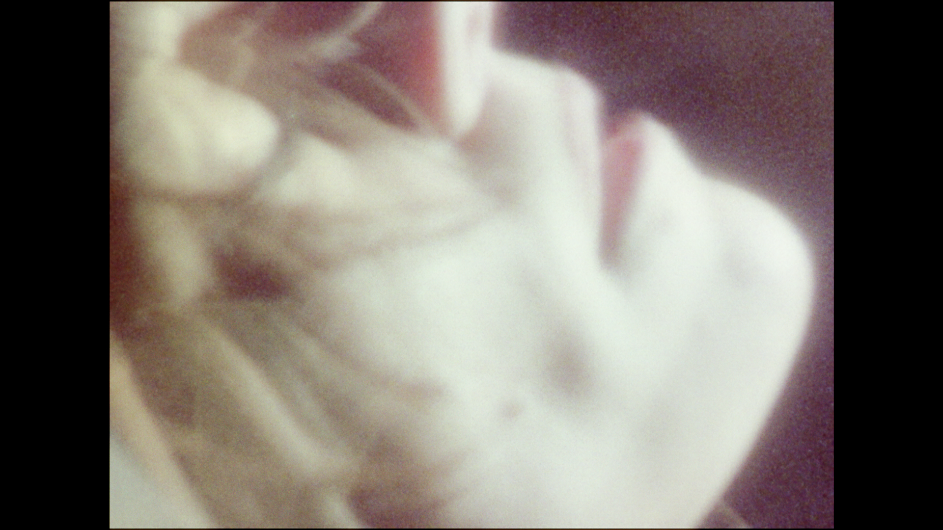 Untitled_1.1.150.png