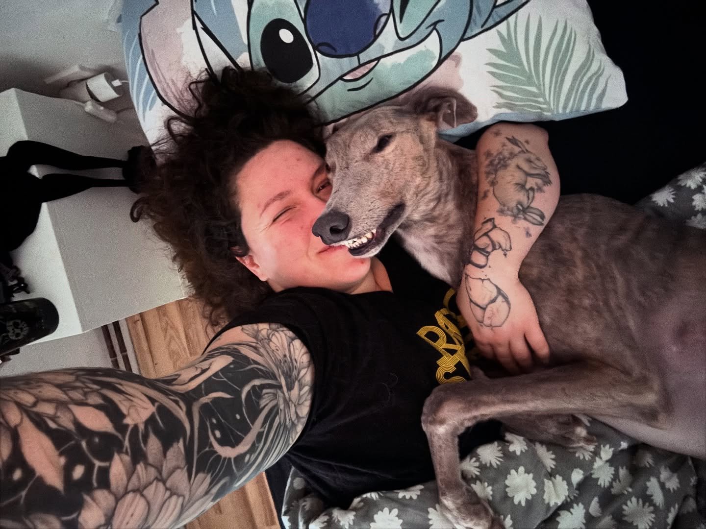 [ ZAČASNI DOM ] 
.
Sky se nam je pridružil dober mesec in pol nazaj. Fant je čudovit grey velikan, blue-brindle barve. 
Ko se je pridružil Srči Smrči družini je bil &scaron;e malenkost negotov in zadržan ampak se je zelooo hitro sprostil in začel pop