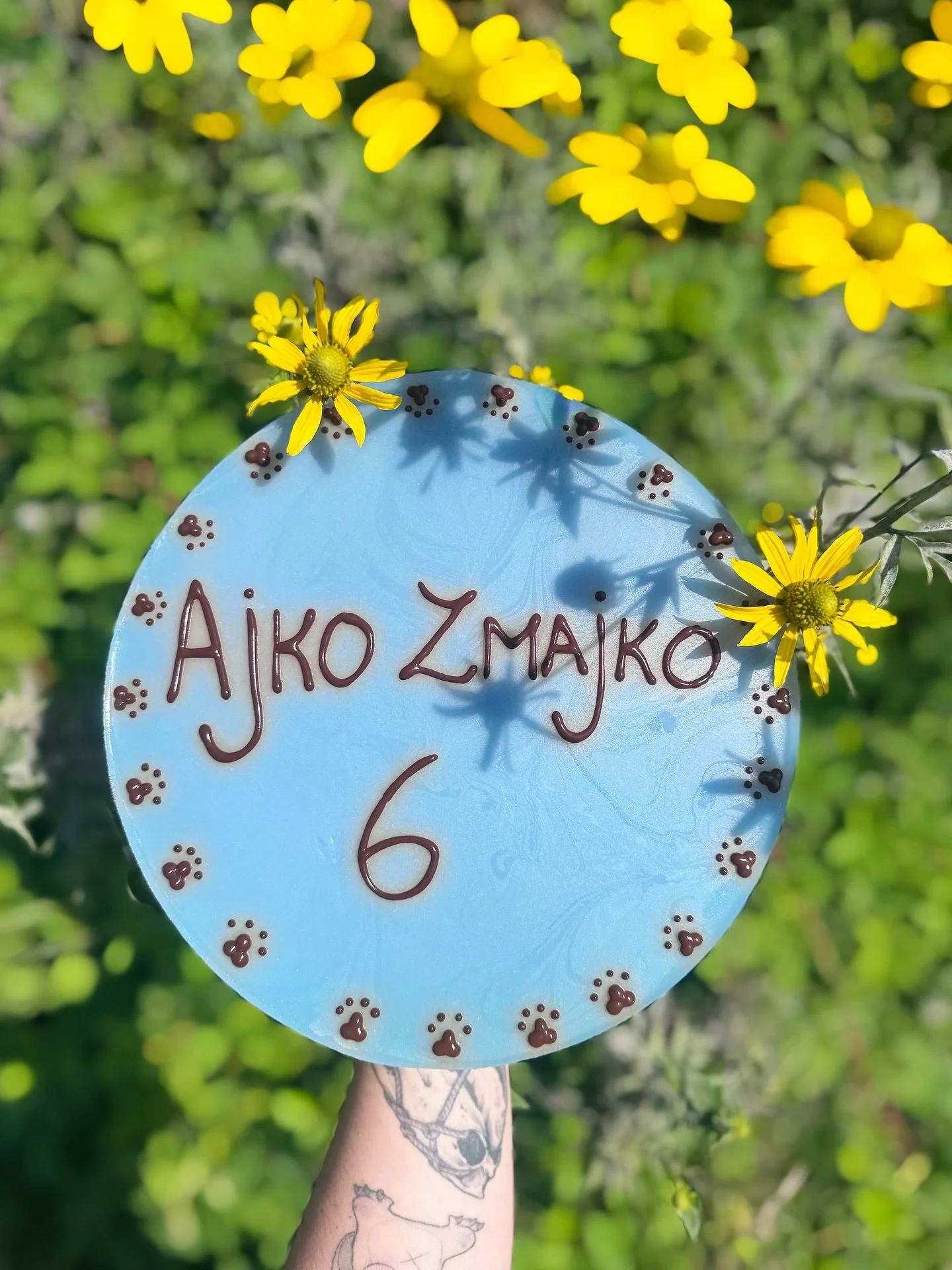 [ ROJSTNI DAN ] 
.
Včeraj je sredi lepot Kočevskih gozdov, obkrožen s prijateljčki, praznoval svoj &scaron;esti rojstni dan na&scaron; najbolj&scaron;ej&scaron;i dobermanko!
AjkoZMAJko, Ajkolin, moj blesko, VSE NAJBOLJ&Scaron;E! 🥳🎈
Vsi tvoji najbli