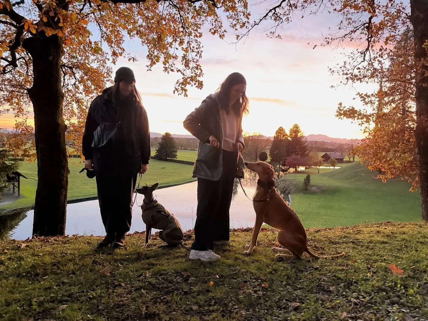 [ DOLGONOSI ZVERINJAK KRANJ ]
Čudovito okolje in superska družba - vse kar se za zadnjo &scaron;olski sprehod spodobi 🥹
.
Gino in Ava, HVALA ker sta bila del te zgodbe! Neizmerno sem vama ter vajinim ljudem hvaležna za izkazano zaupanje 🖤
.
.
.
#sr