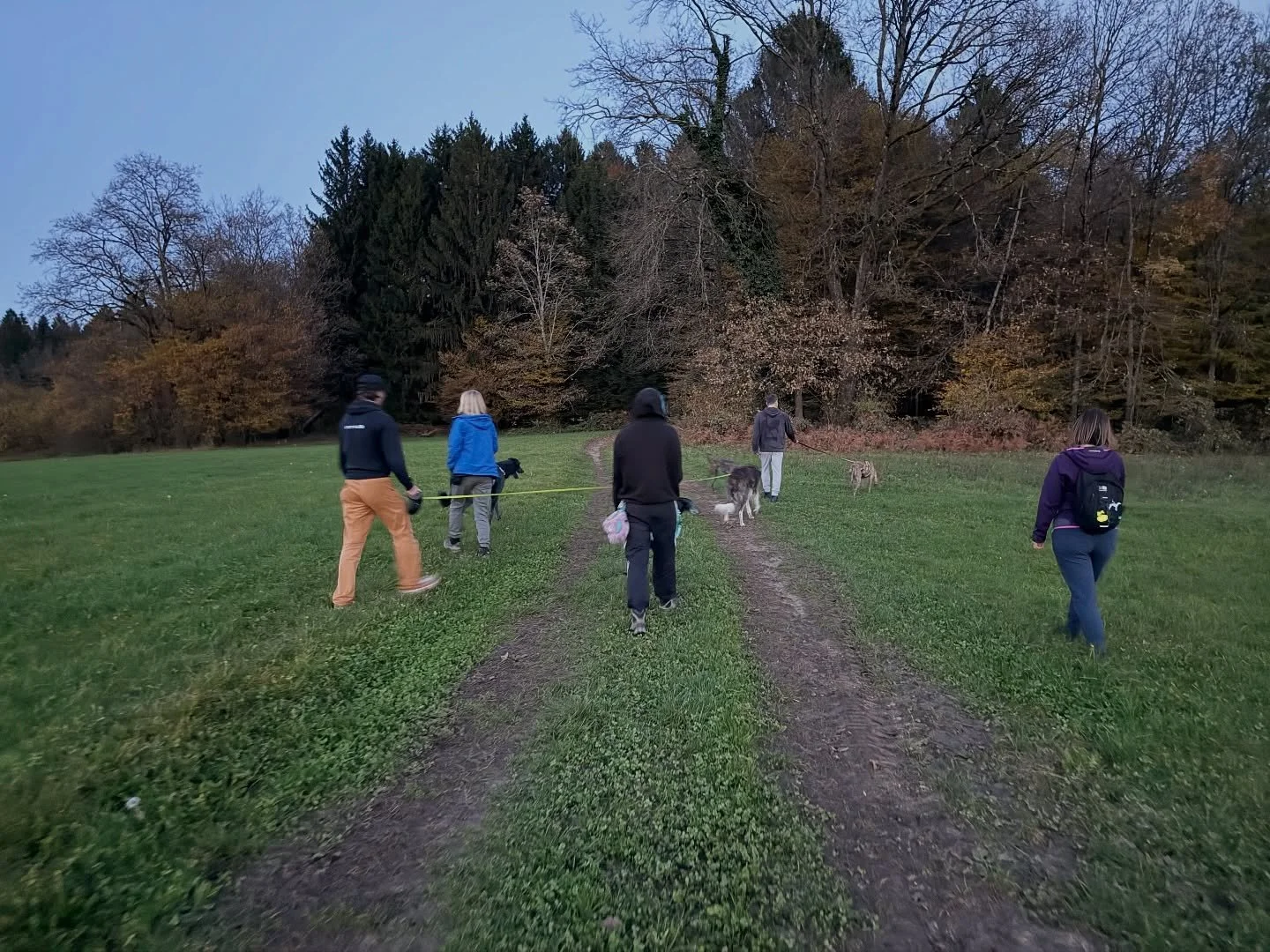 [ DOLGONOSI ZVERINJAK ] 
.
Zadnji &ldquo;&scaron;olski&rdquo; sprehod za Novome&scaron;ko skupino surlic z dodatkom dveh &ldquo;vsiljivk&rdquo; 😁
Hvala vam za vse čudovite trenutke in lokacije, ki ste jih delili z menoj 🖤
.
.
.
#srcismrci #pasjasol