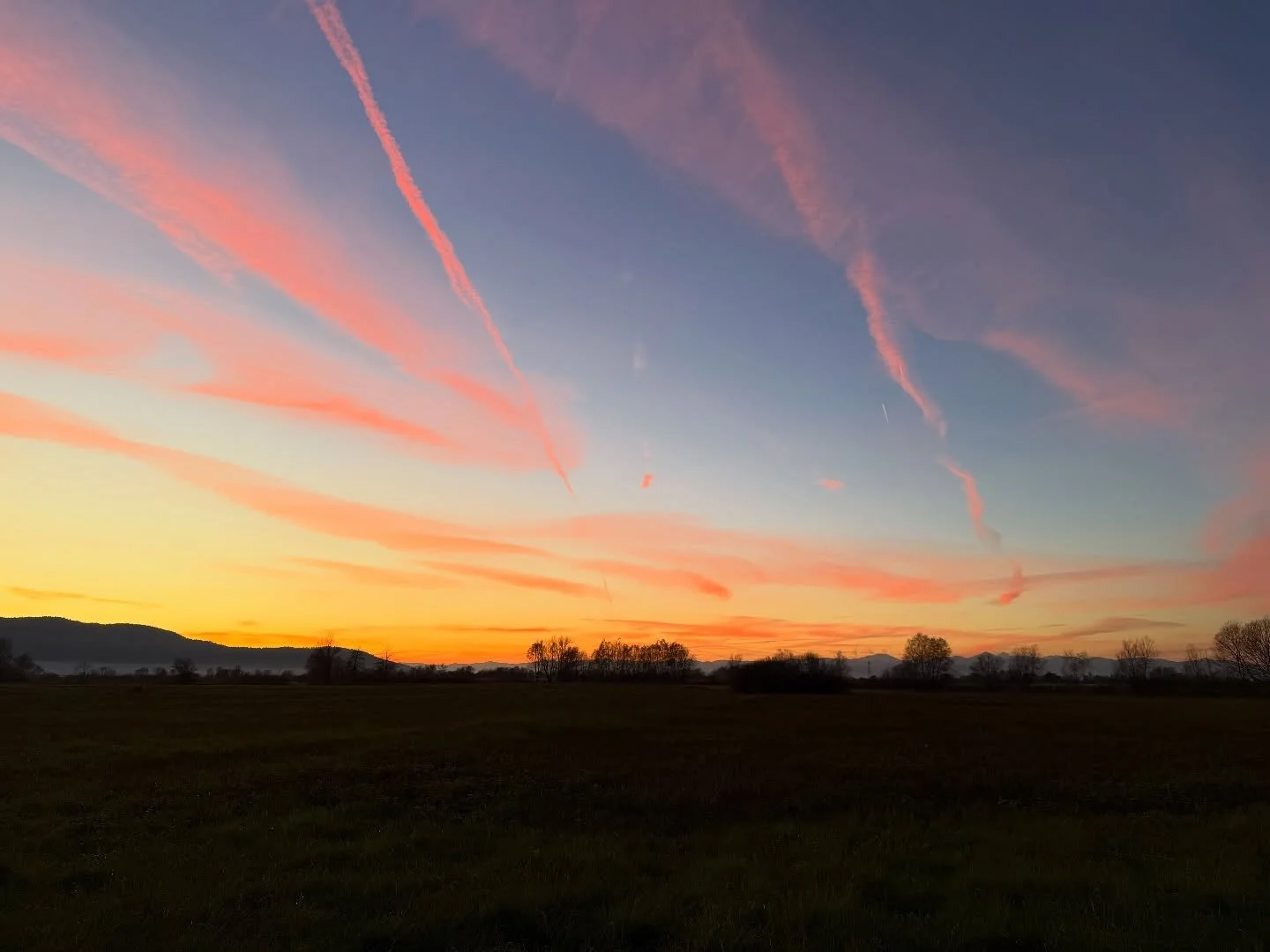 Vse, kar učim v &scaron;oli, je preverjeno na lastnih psih in enostavno jih ne morem prehvalit, so najbolj&scaron;i dolgi noski ever 🖤
.
.
.
#srcismrci #dolgonosizverinjak #dolginoski #longsnoots #borzoi #borzoisofinstagram #galgo #galgosofinstagram