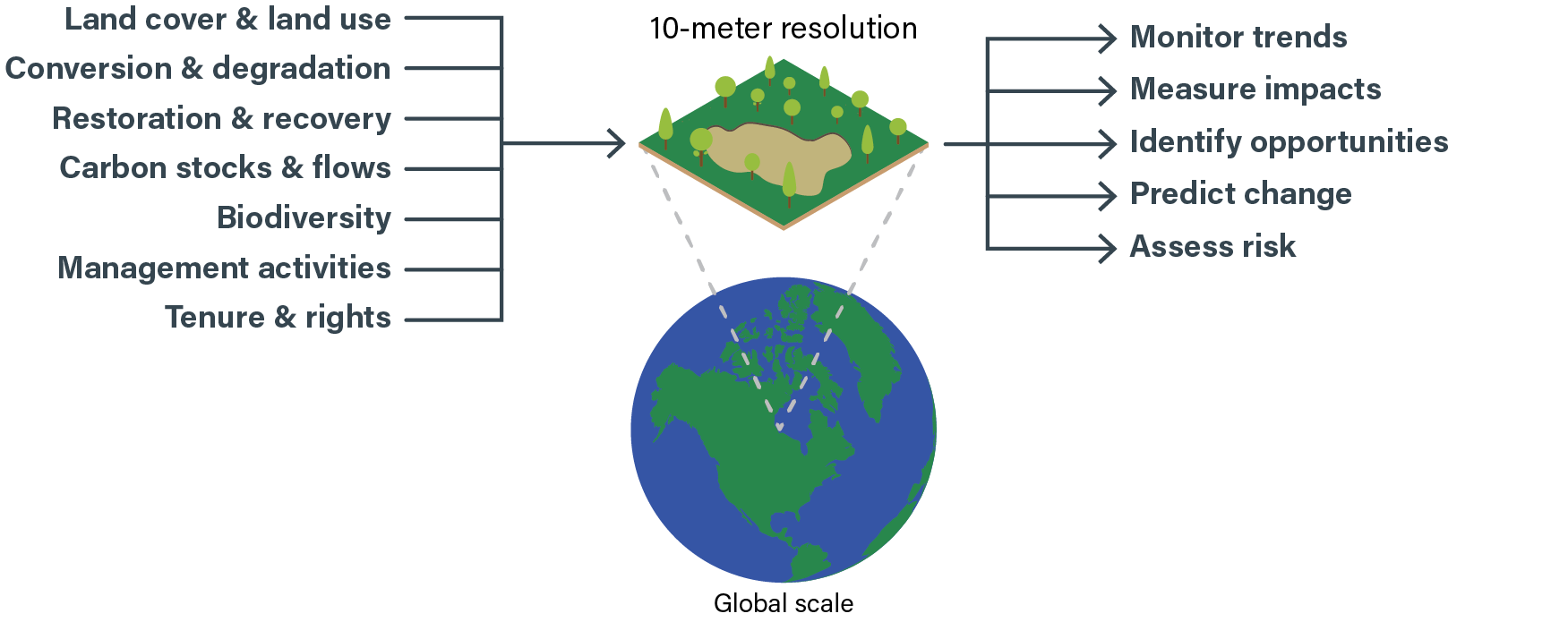 About Our Work to Monitor Land and Carbon Land & Carbon Lab