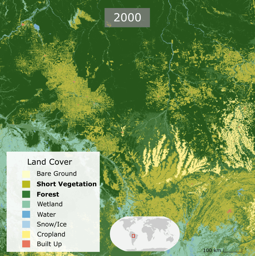 20 Years of Land Cover Data Reveals Important Transformations of Our