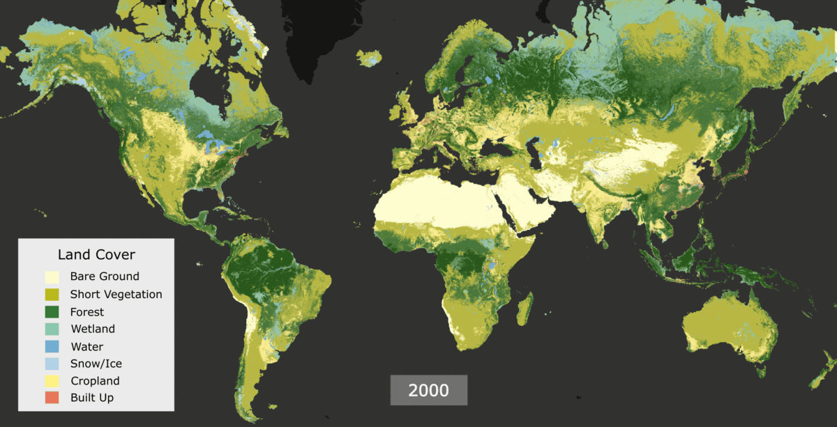 20 Years of Land Cover Data Reveals Important Transformations of Our