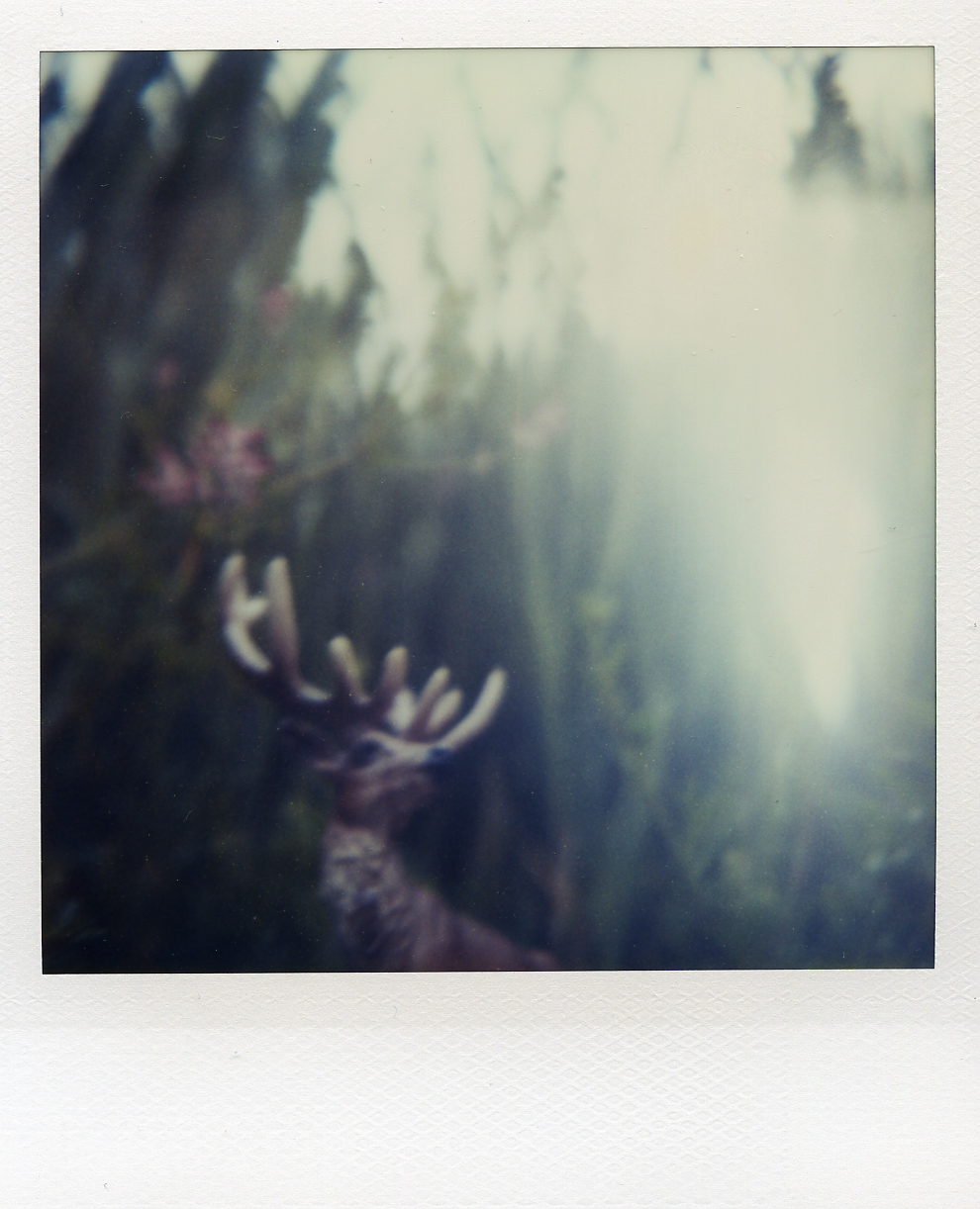 Buck Light