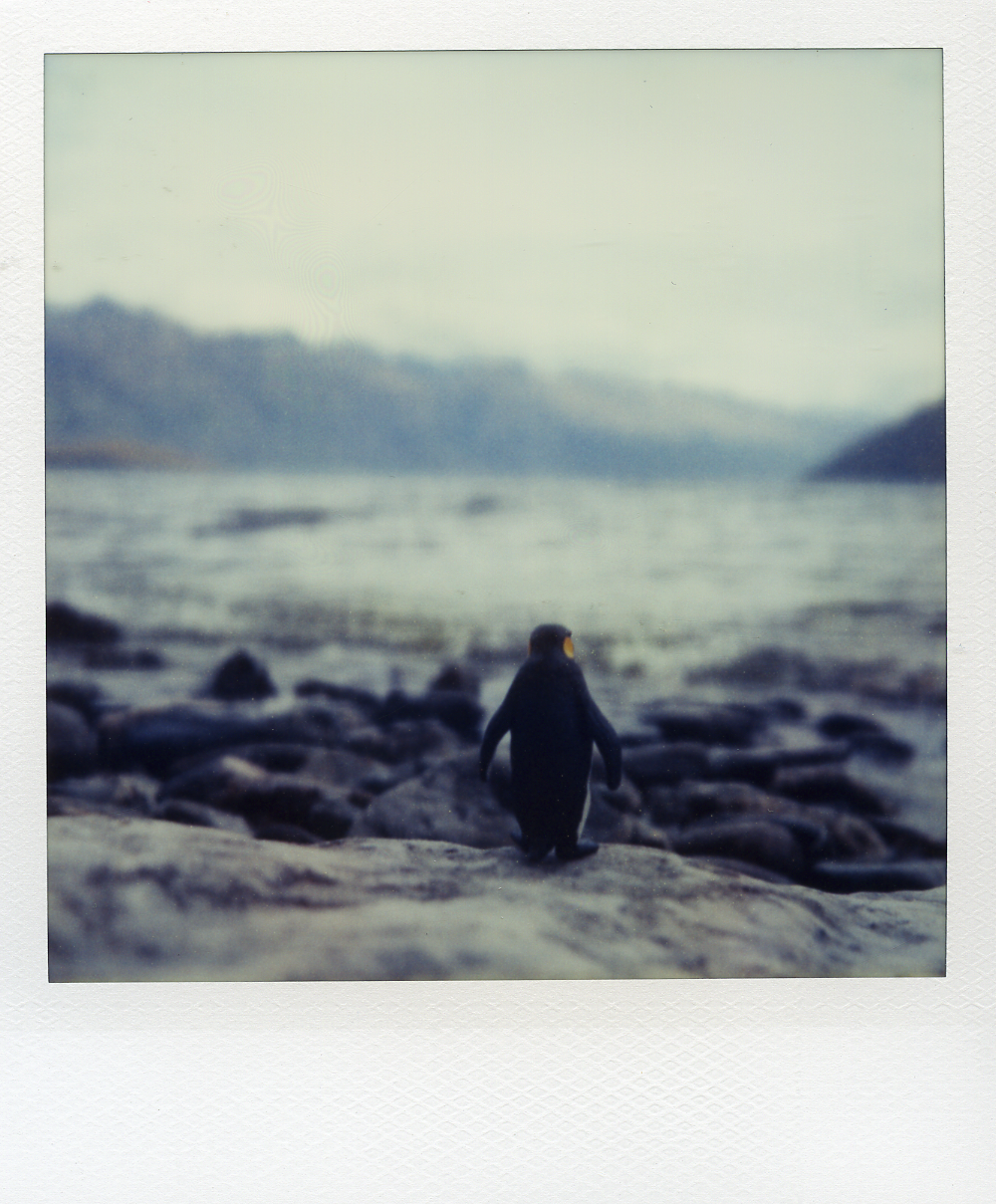 Pengu