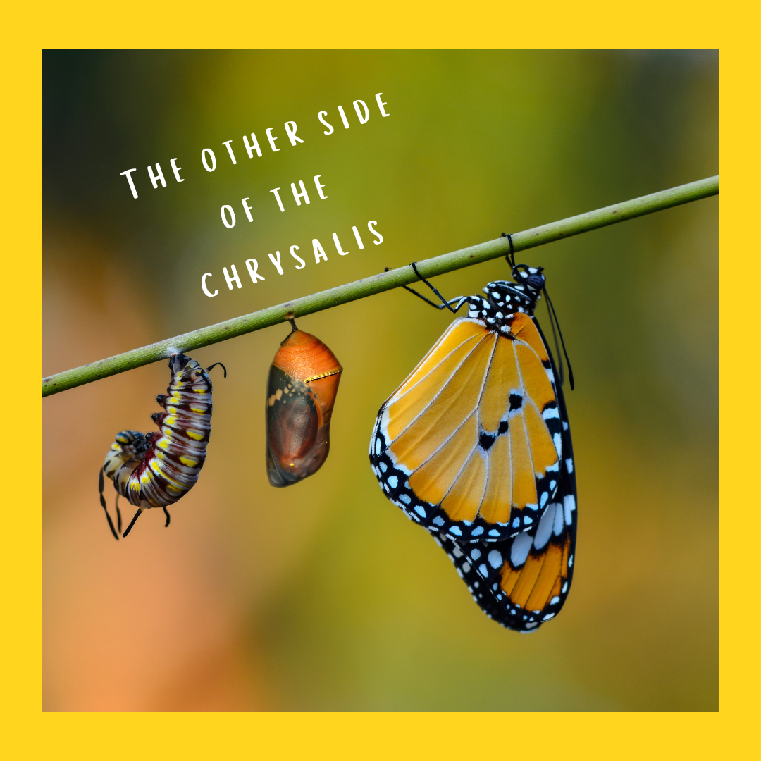 The Other Side of the Chrysalis