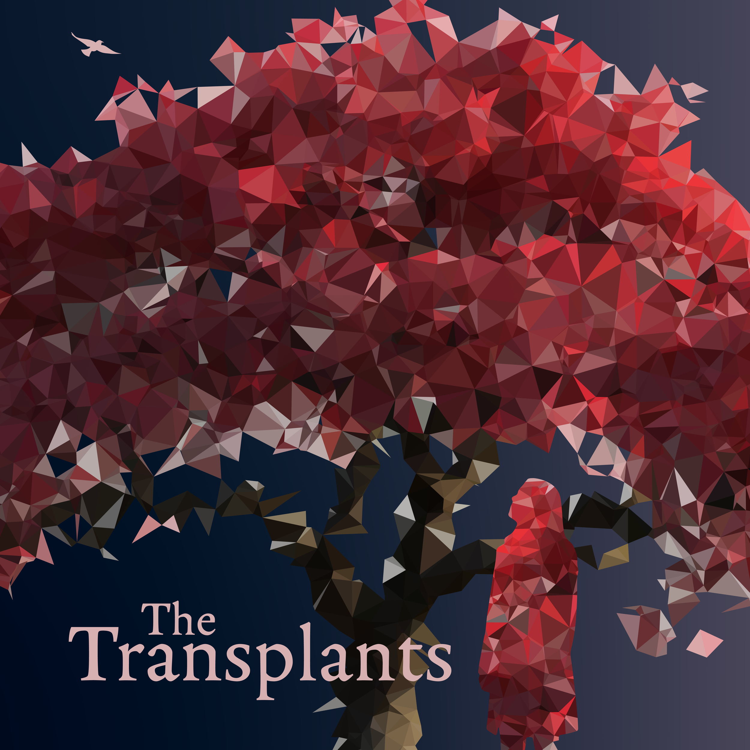 The Transplants