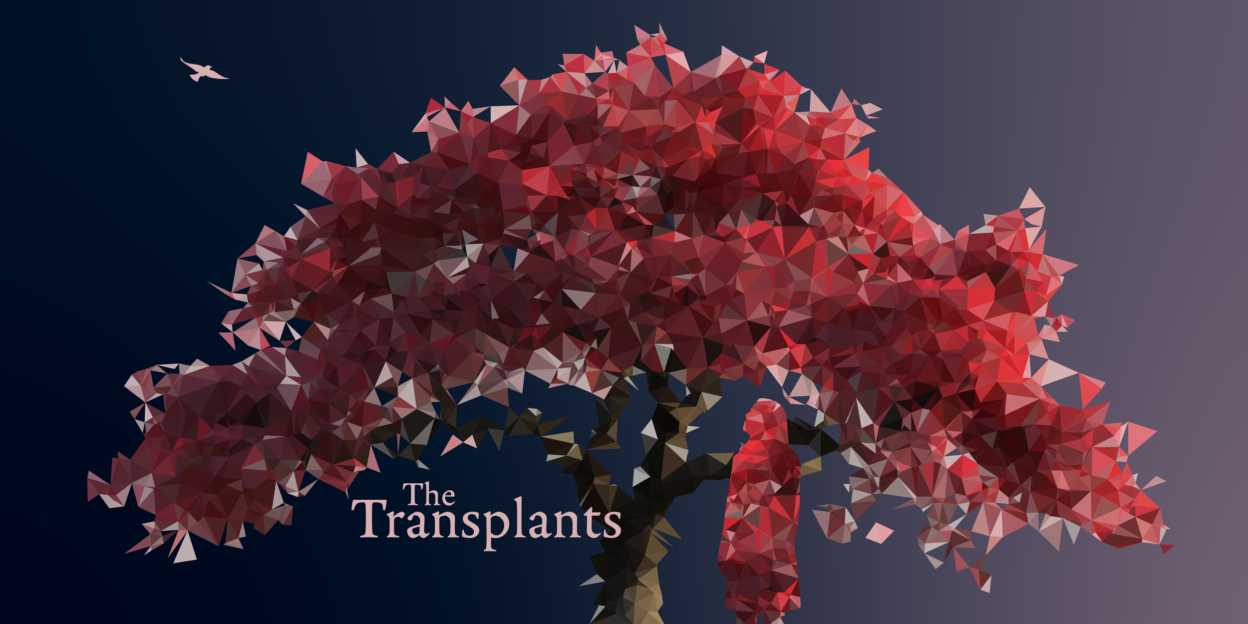 The Transplants