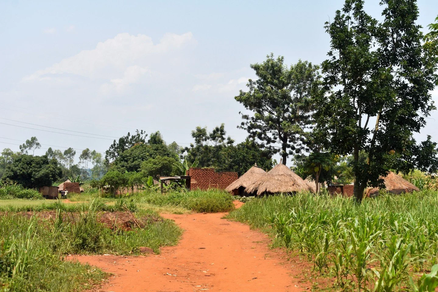 We&rsquo;re serving in Uganda. Here&rsquo;s why.⁠
⁠
Our founder used to live there and saw firsthand the harsh realities women and girls face&mdash;sexual exploitation, abuse, and early child marriage. The disparities are staggering:⁠
⁠
🇺🇬 Uganda, 