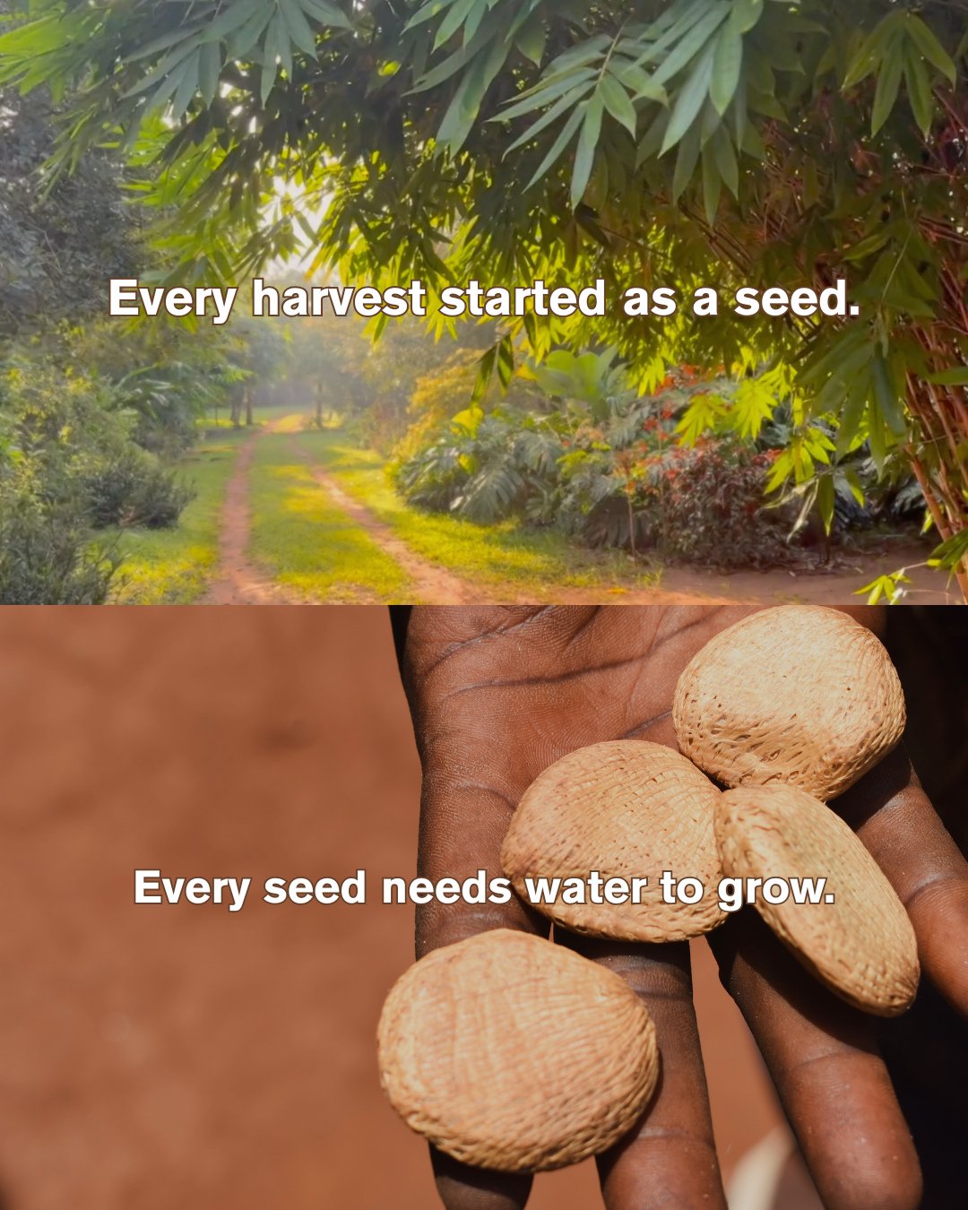 Girls are the same...and tomorrow, we&rsquo;ll show you how you can help them bloom. 💧⁠
⁠
This spring, 40 people will have the chance to help 40 girls bloom in Uganda.⁠
Want to be one of them? Something special is coming tomorrow. 👀🌱🌸