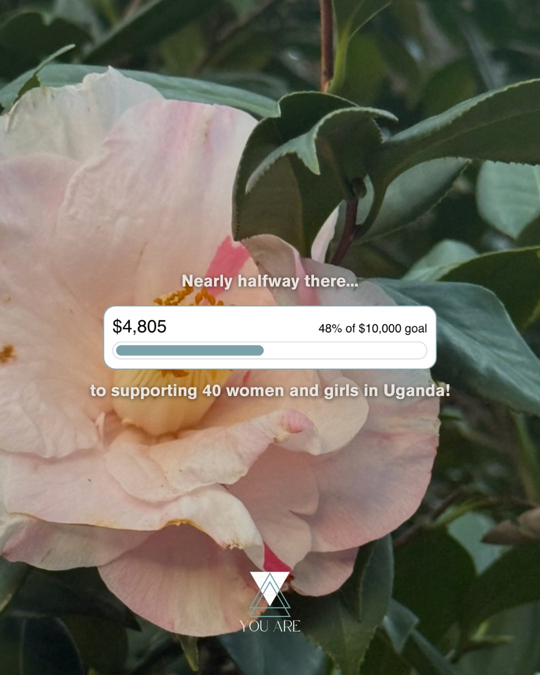48% there. Halfway to changing 40 lives. 🌱⁠
⁠
Our Water The Seeds campaign needs $10,000 to give 40 girls in Uganda safe housing and education. We're so close, but we need your help to get there.⁠
⁠
$40 = a girl has safe housing and education.⁠
⁠
Ev
