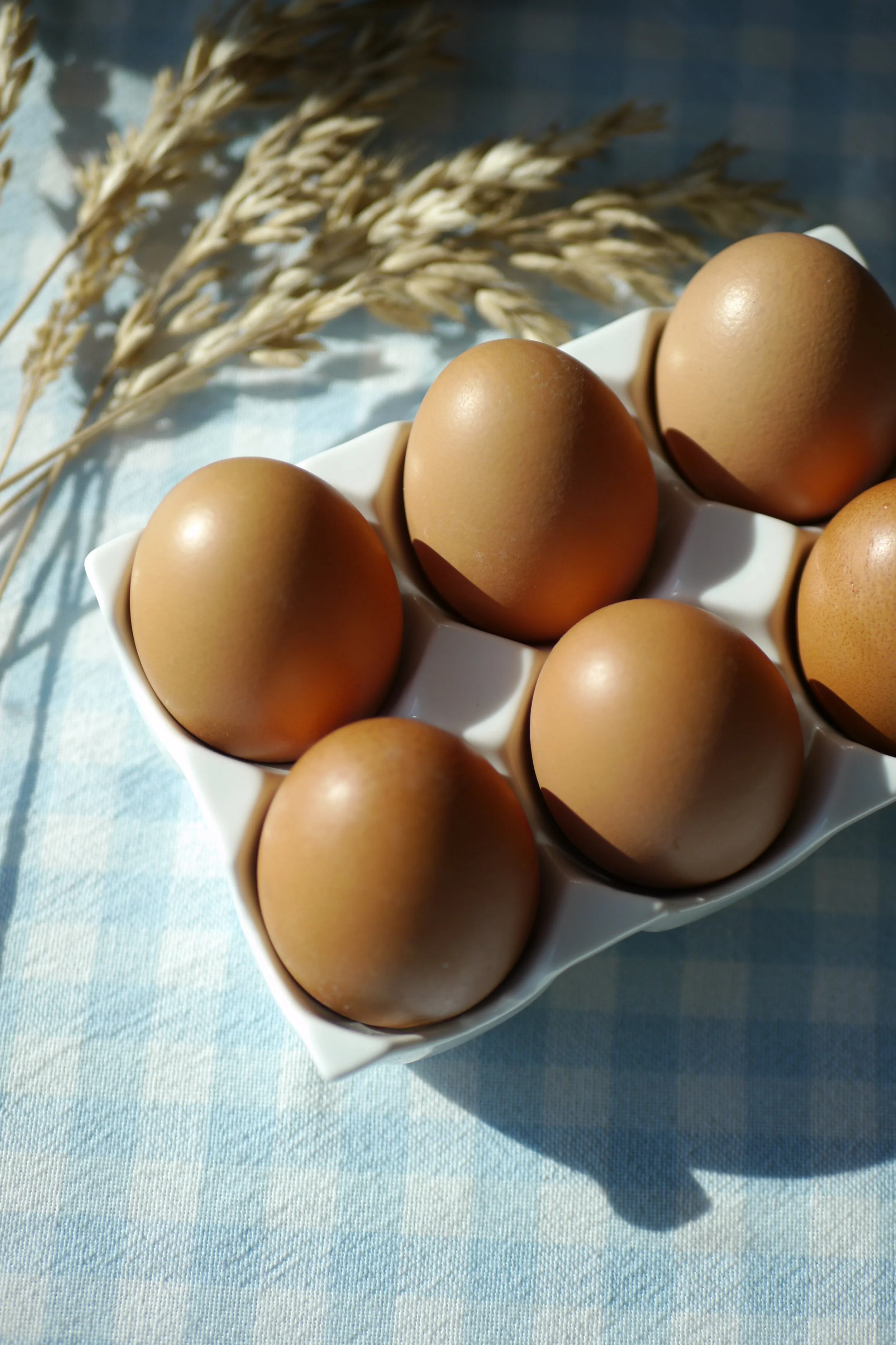 Boîte à oeufs, 6 compartiments - Porcelaine