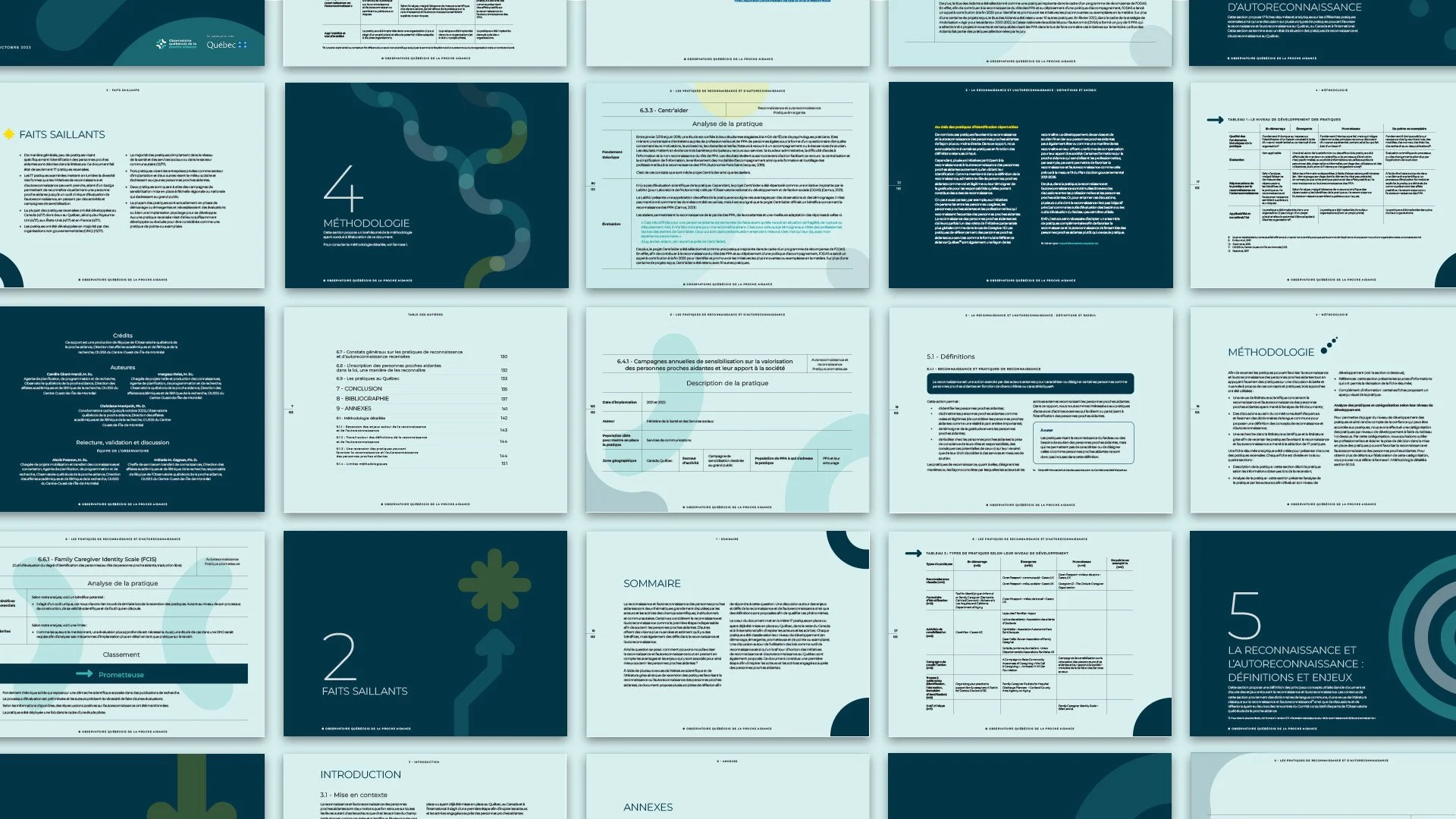 Grille de pages du rapport sur les proches aidants, contenant des textes, titres, et graphiques, principalement en bleu et blanc.