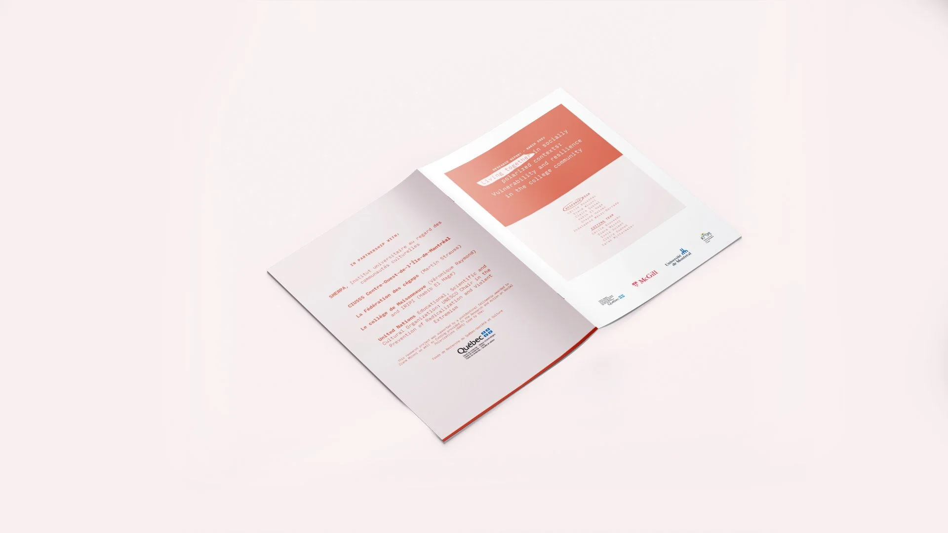 Rapport ouvert avec texte en français et logos de l'Université McGill, du Québec, et autres.