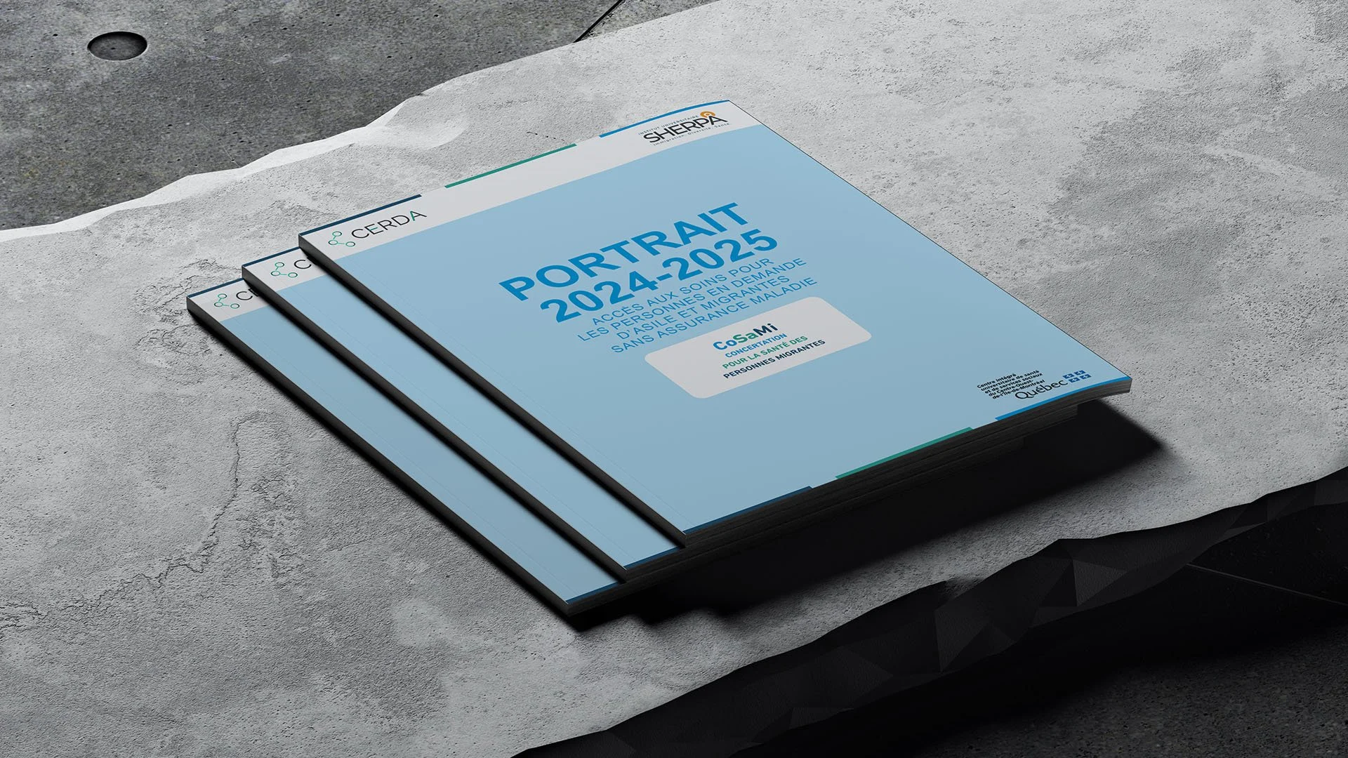 Trois brochures bleues empilées, intitulées "Portrait CoSaMi 2024-2025", sur une surface en pierre.