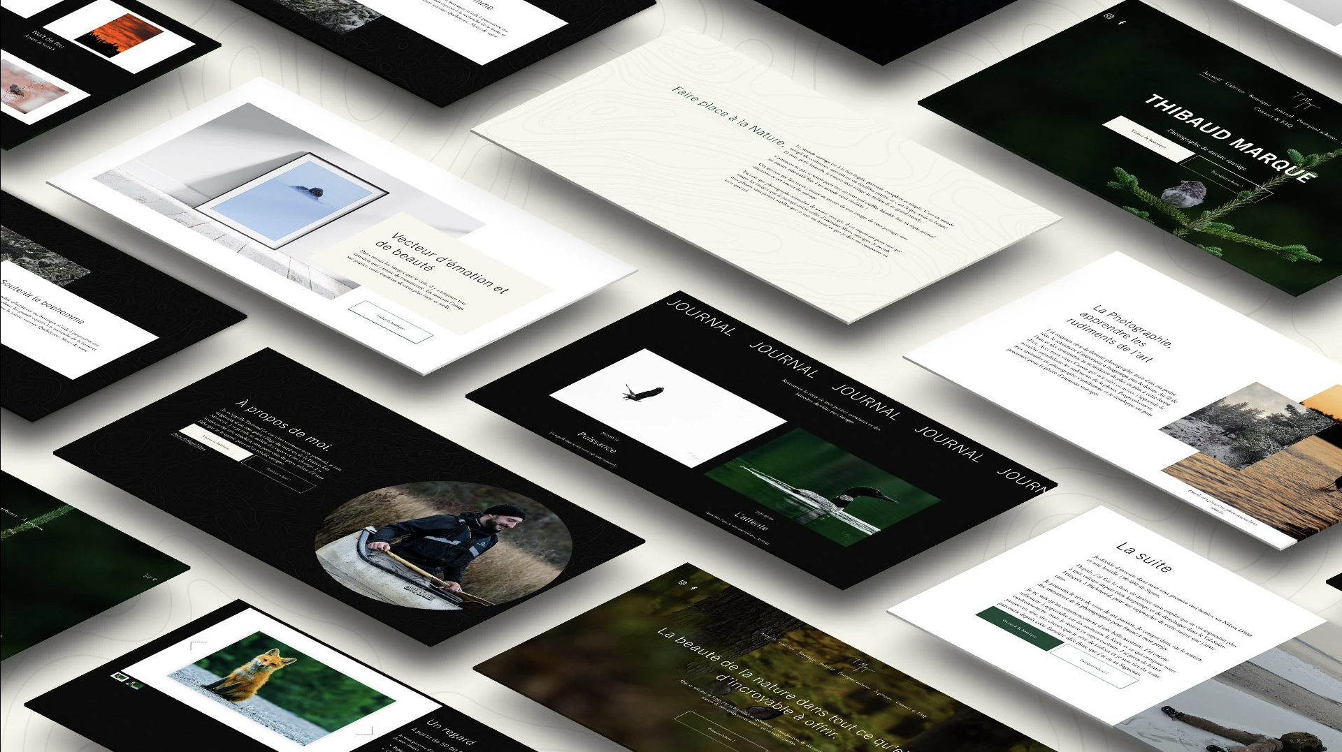 Disposition de plusieurs pages Web, comprenant des textes, images de nature, de paysages, et de photographie d'oiseaux, avec fonds principalement en blanc et noir.