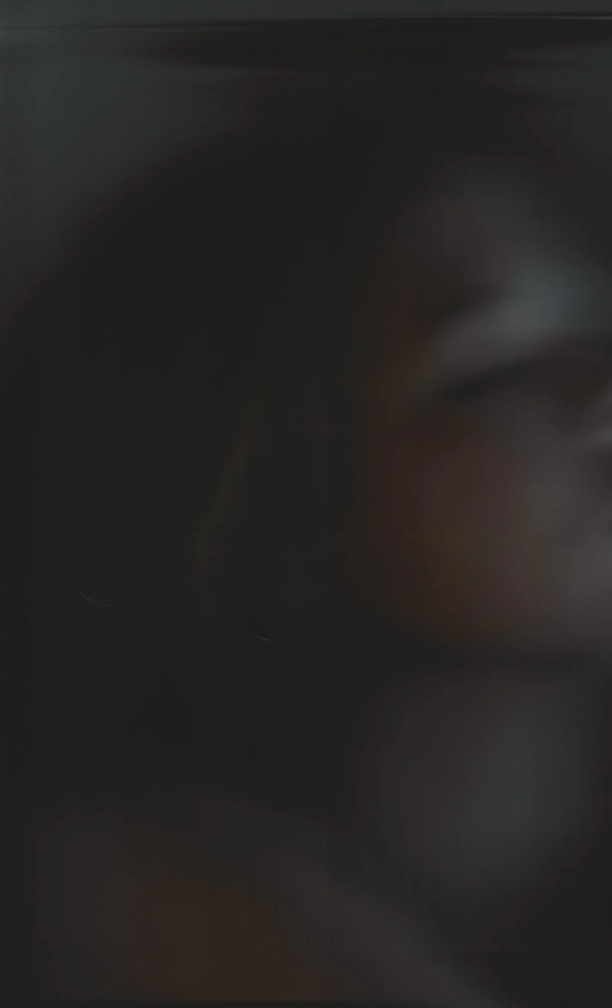 35 – the ultimate love for technologies of loathing – akosua viktoria adu-sanyah.jpg