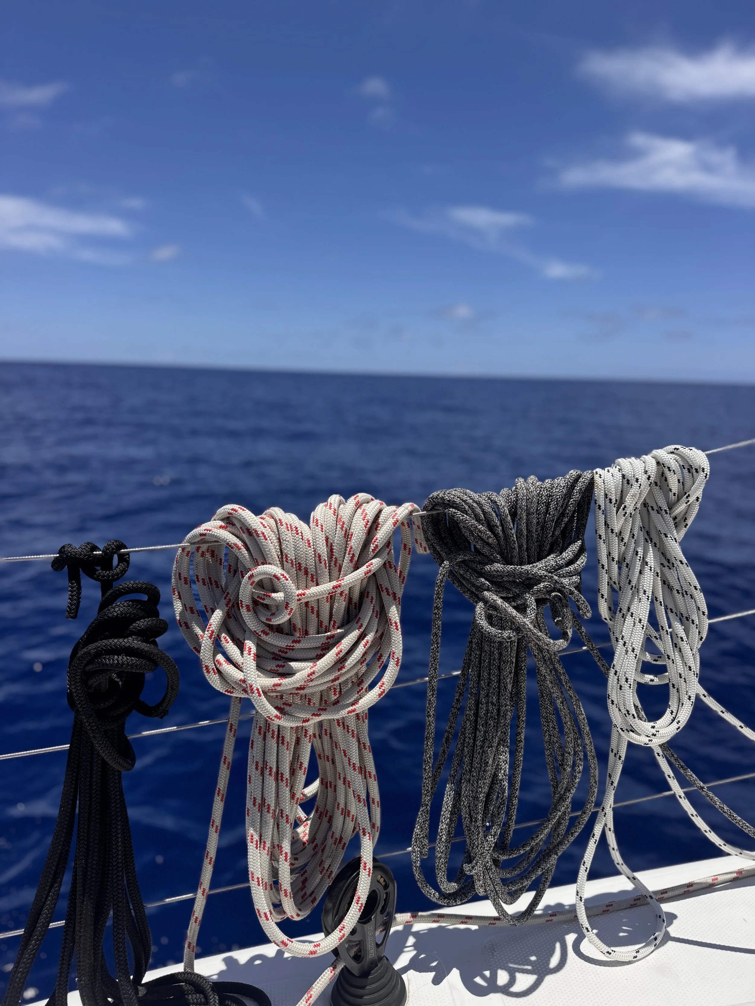 ✨You didn’t do January wrong.