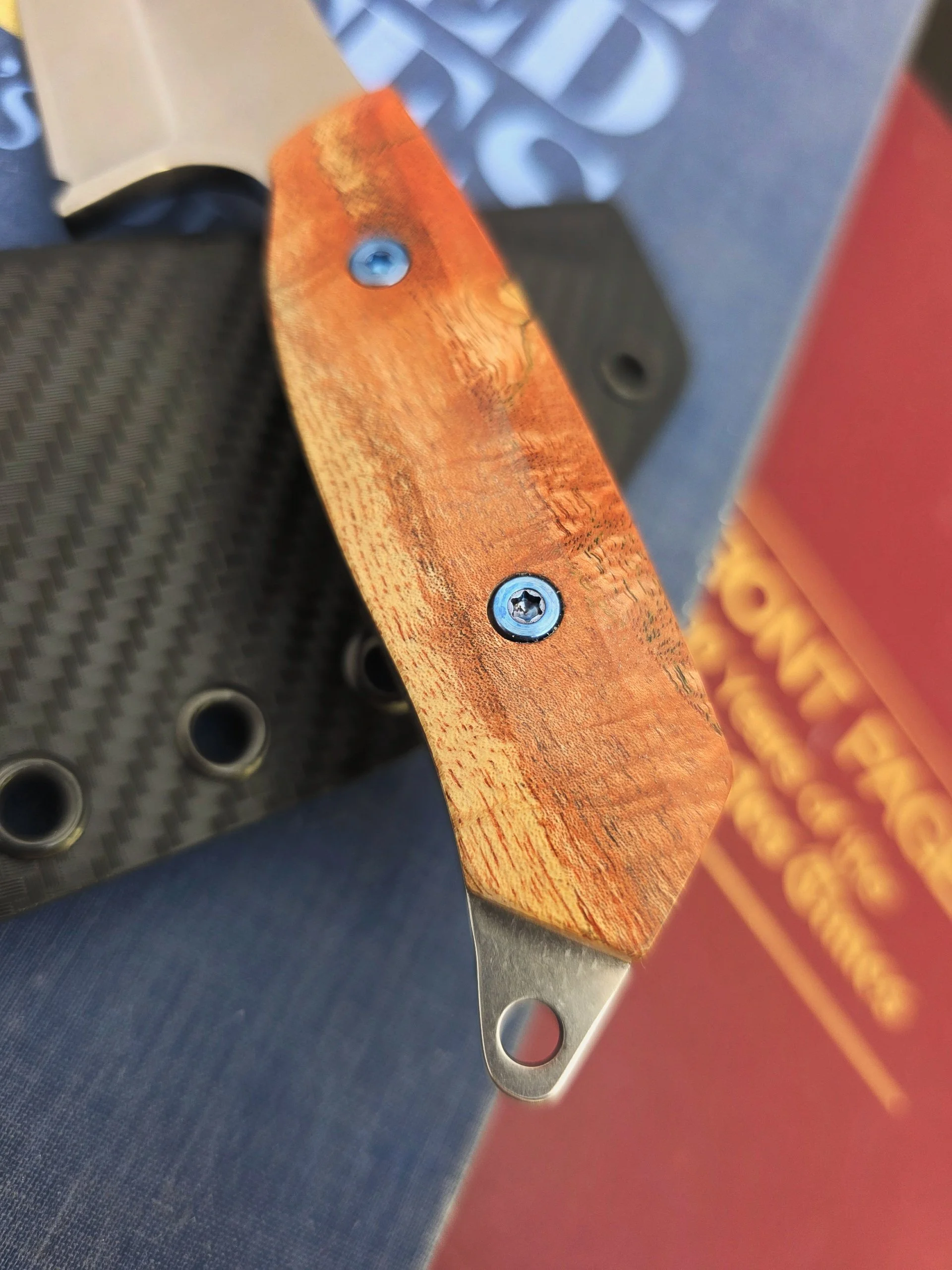 2026-02-24-14-38-03-389.jpg (Copy)