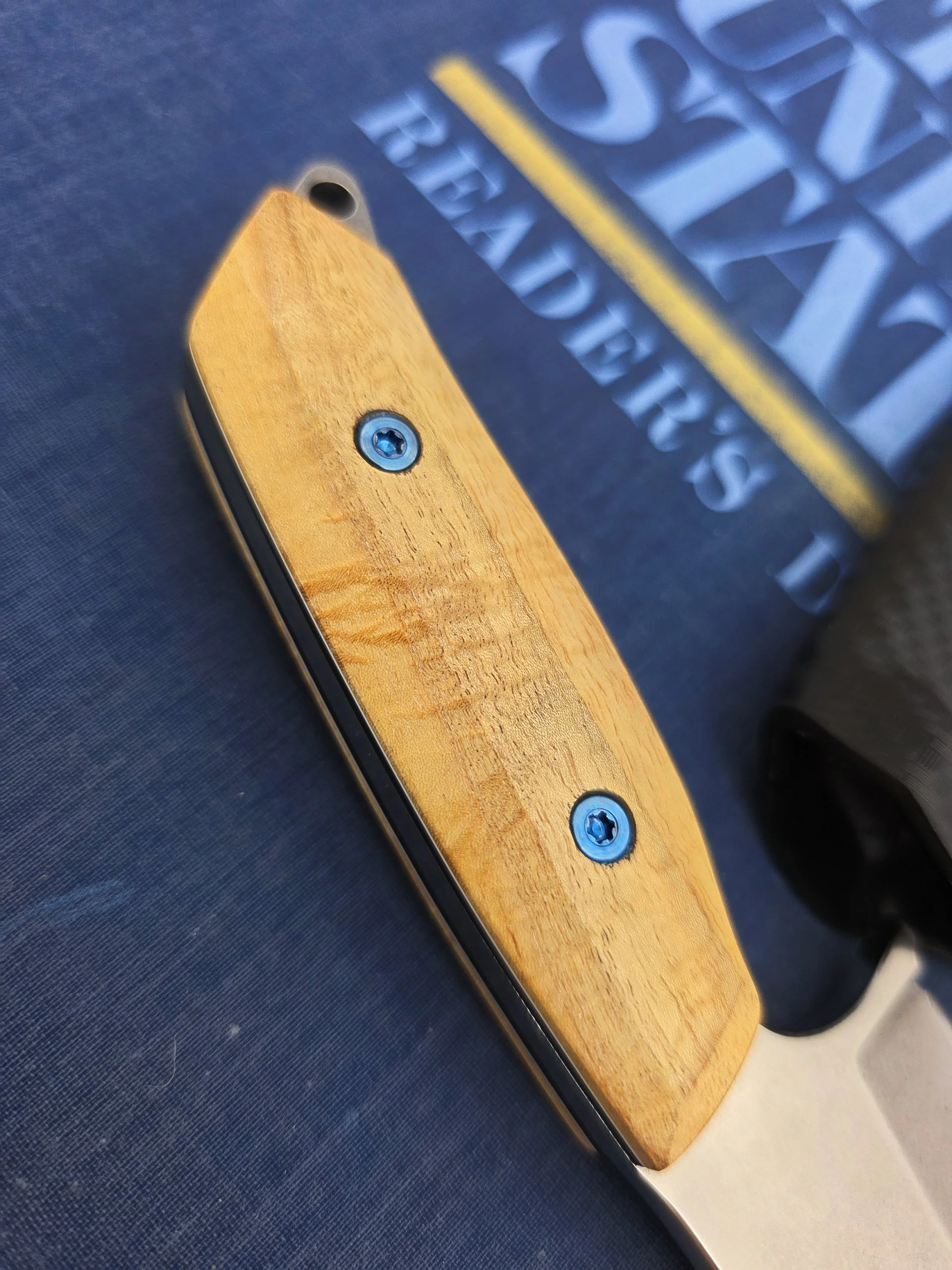 2026-02-24-14-37-38-424.jpg (Copy)