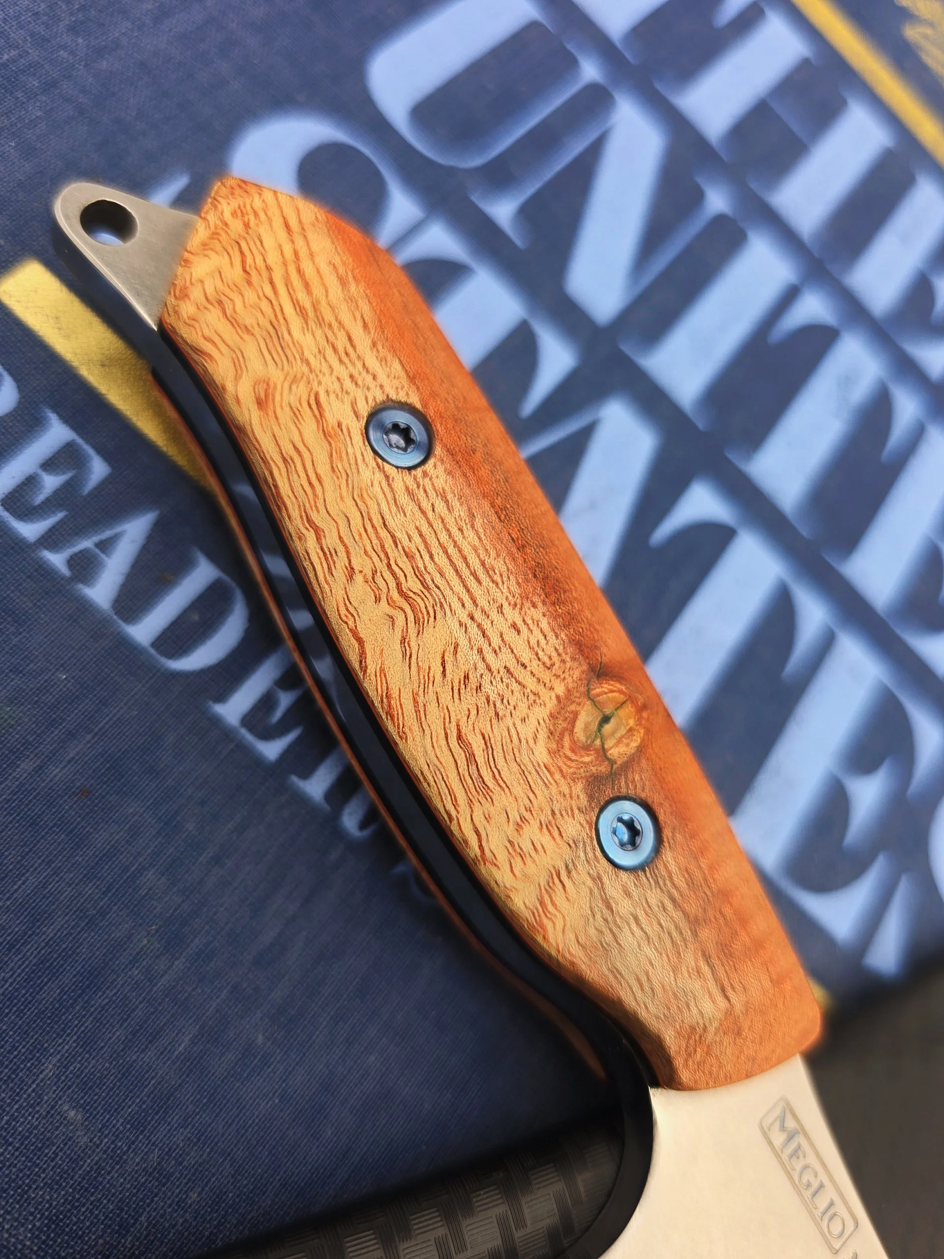 2026-02-24-14-37-55-757.jpg (Copy)