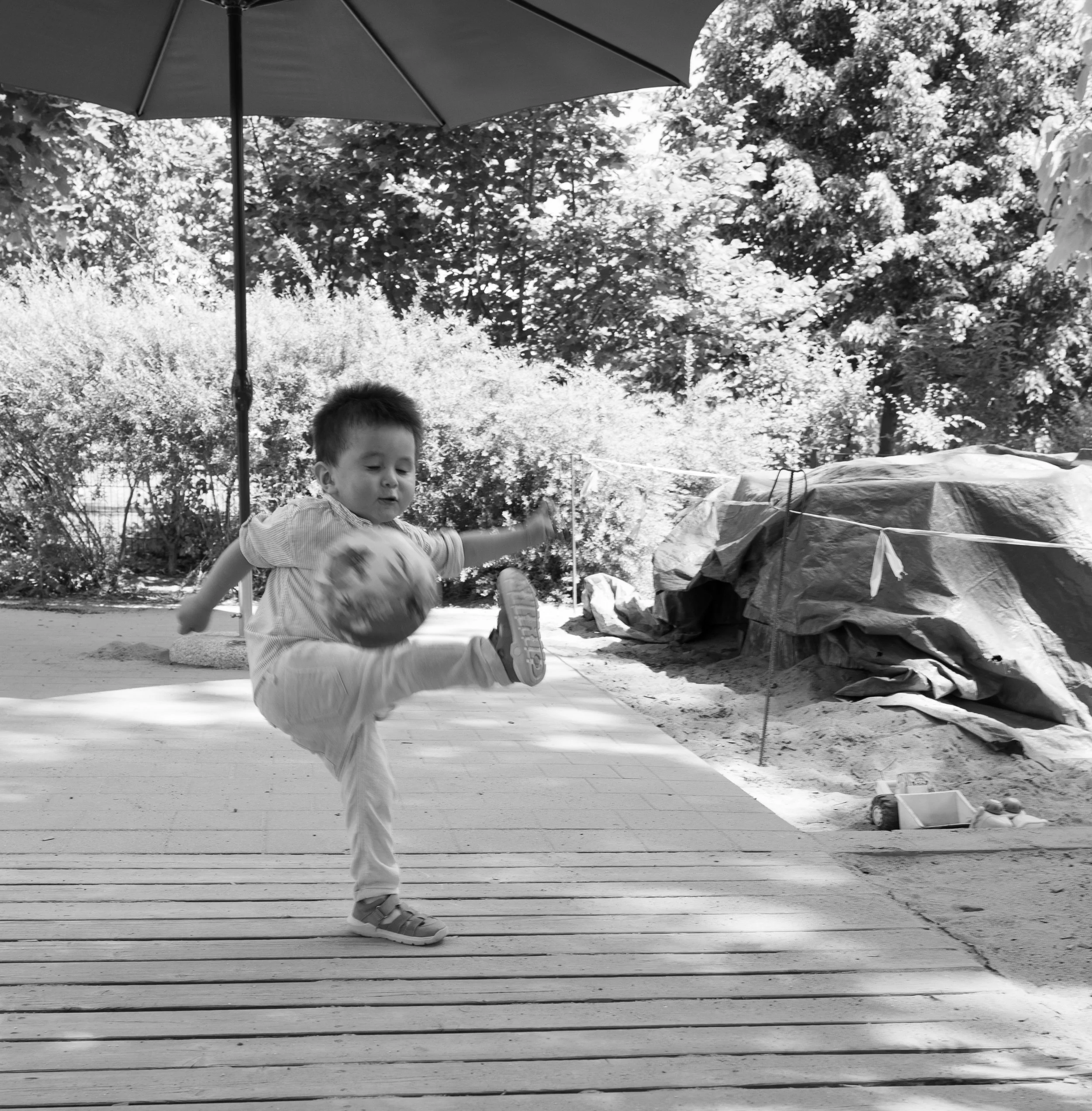 unbenannt-3541 Kopie.jpg