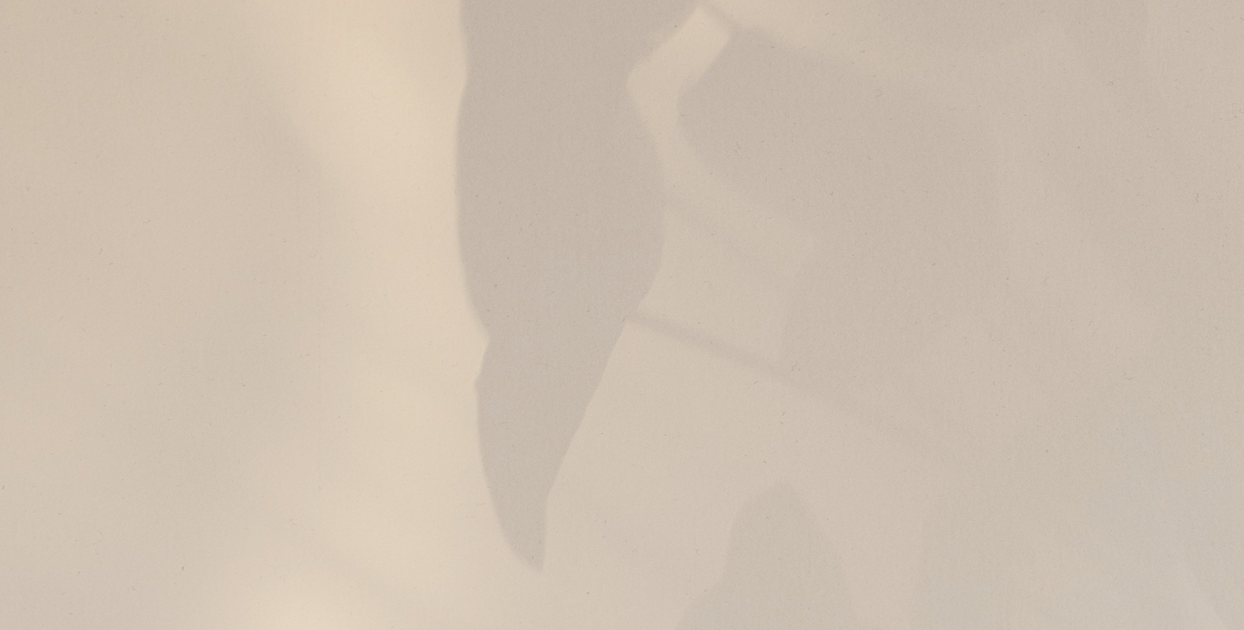 Image of something in the shadows