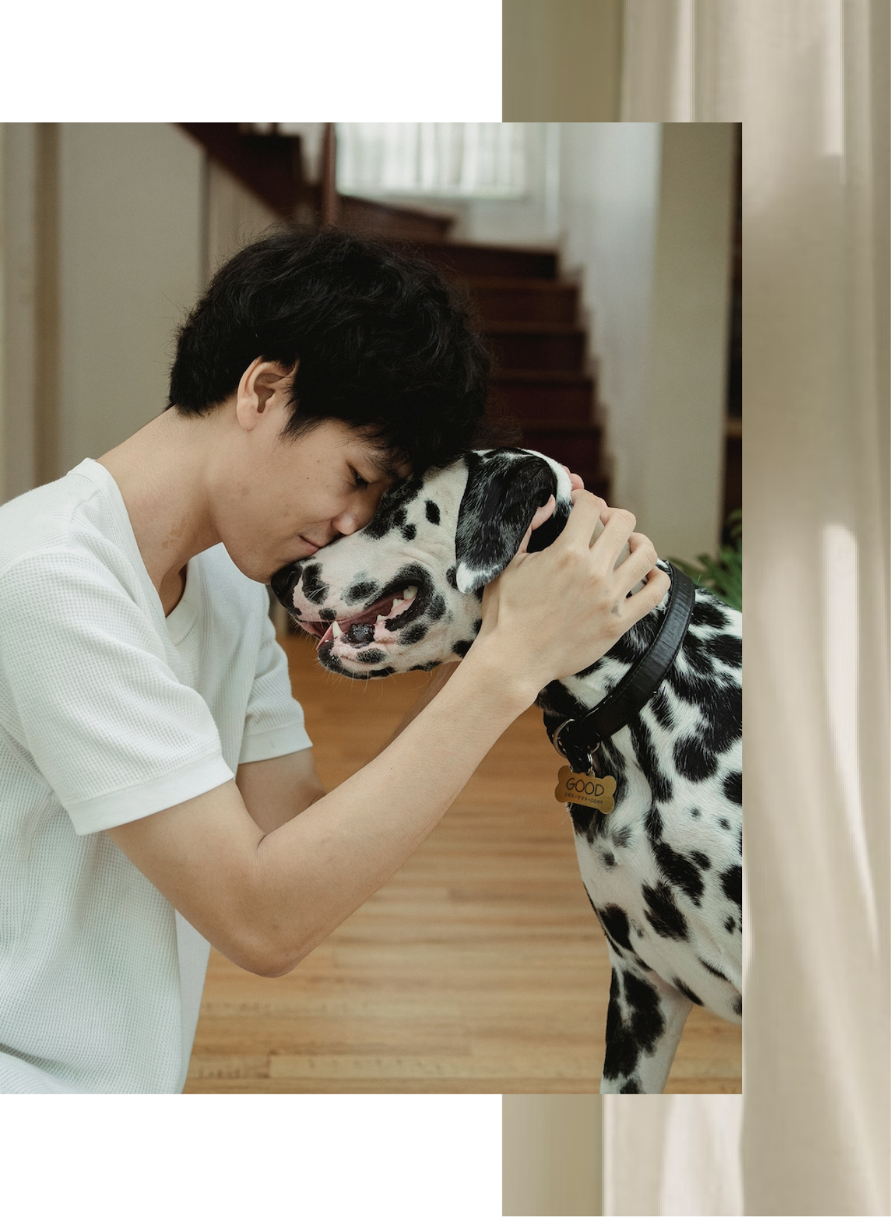 Grief Intensive for Pet Loss in Los Angeles.png