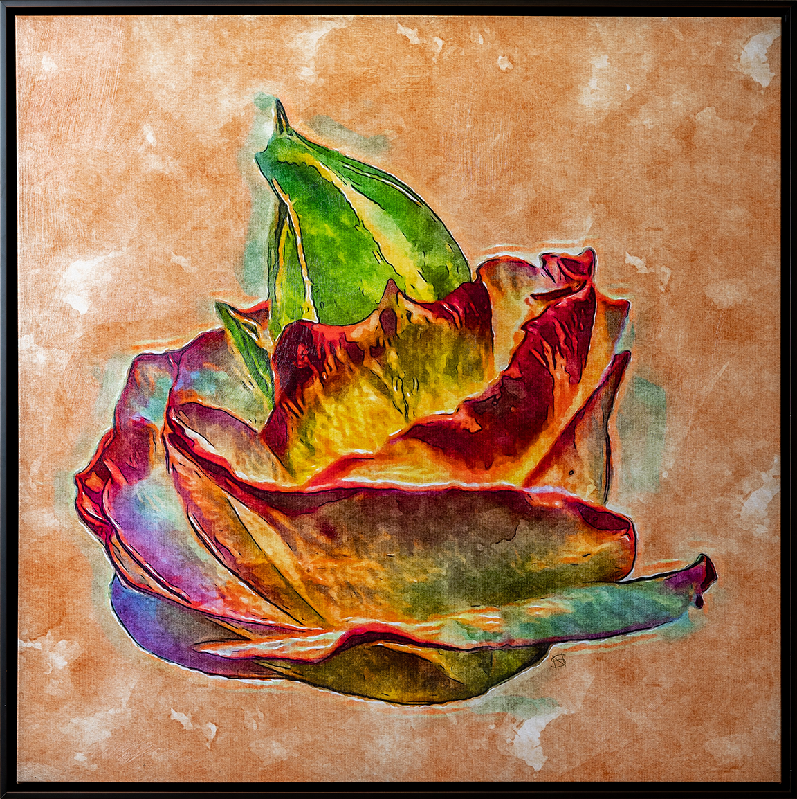 Rare Rose 08