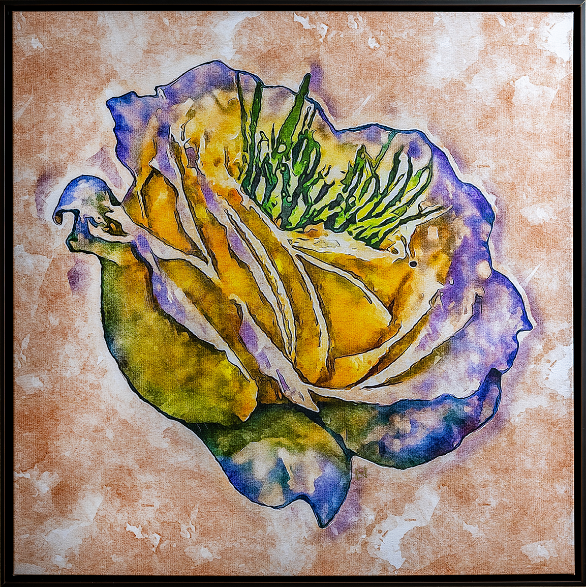 Rare Rose 11