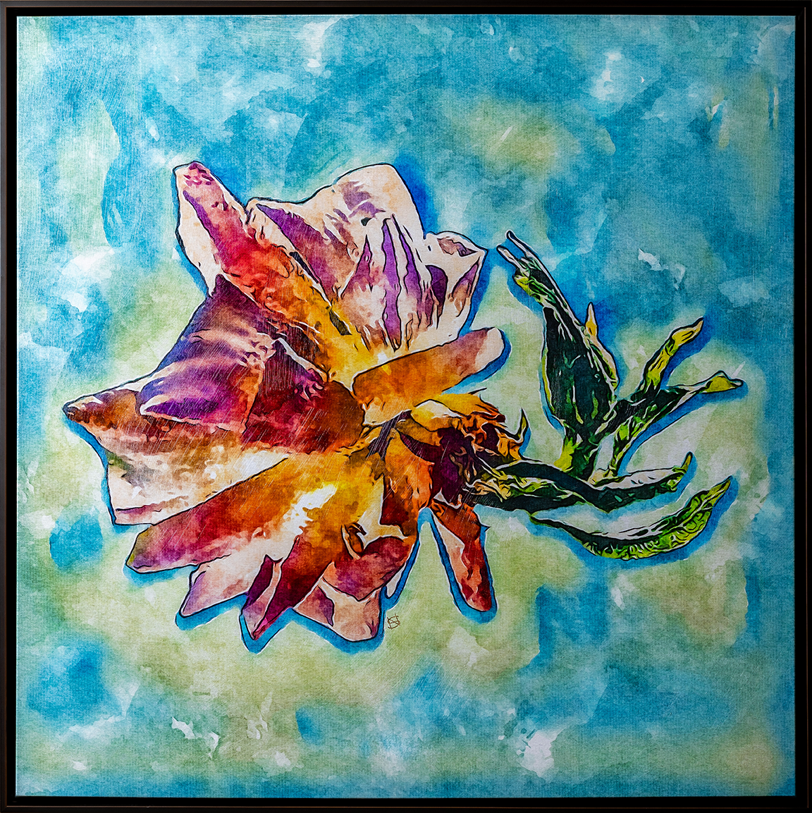 Rare Rose 09