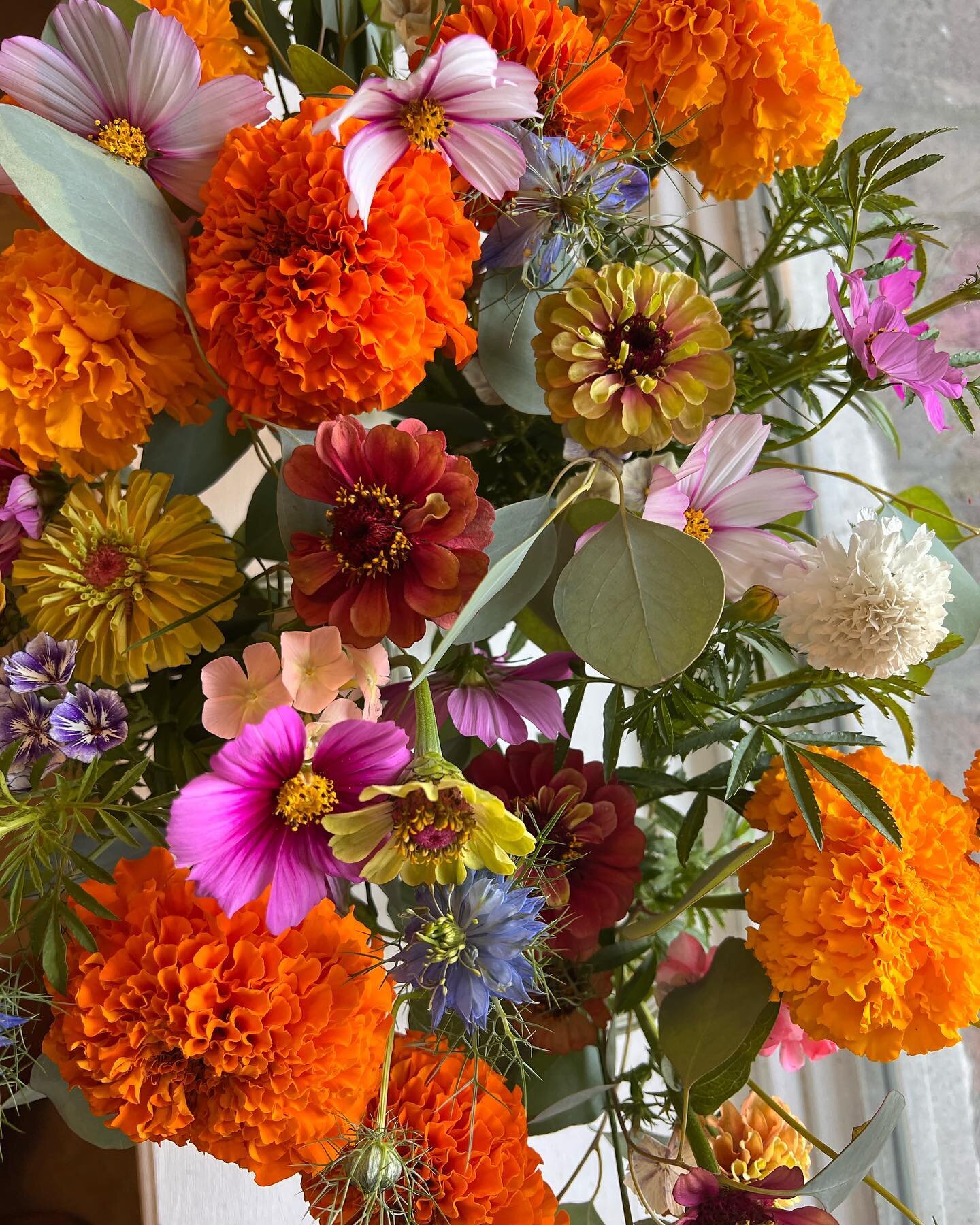 Grab and go&rsquo;s available this weekend featuring the best smelling marigolds ever!