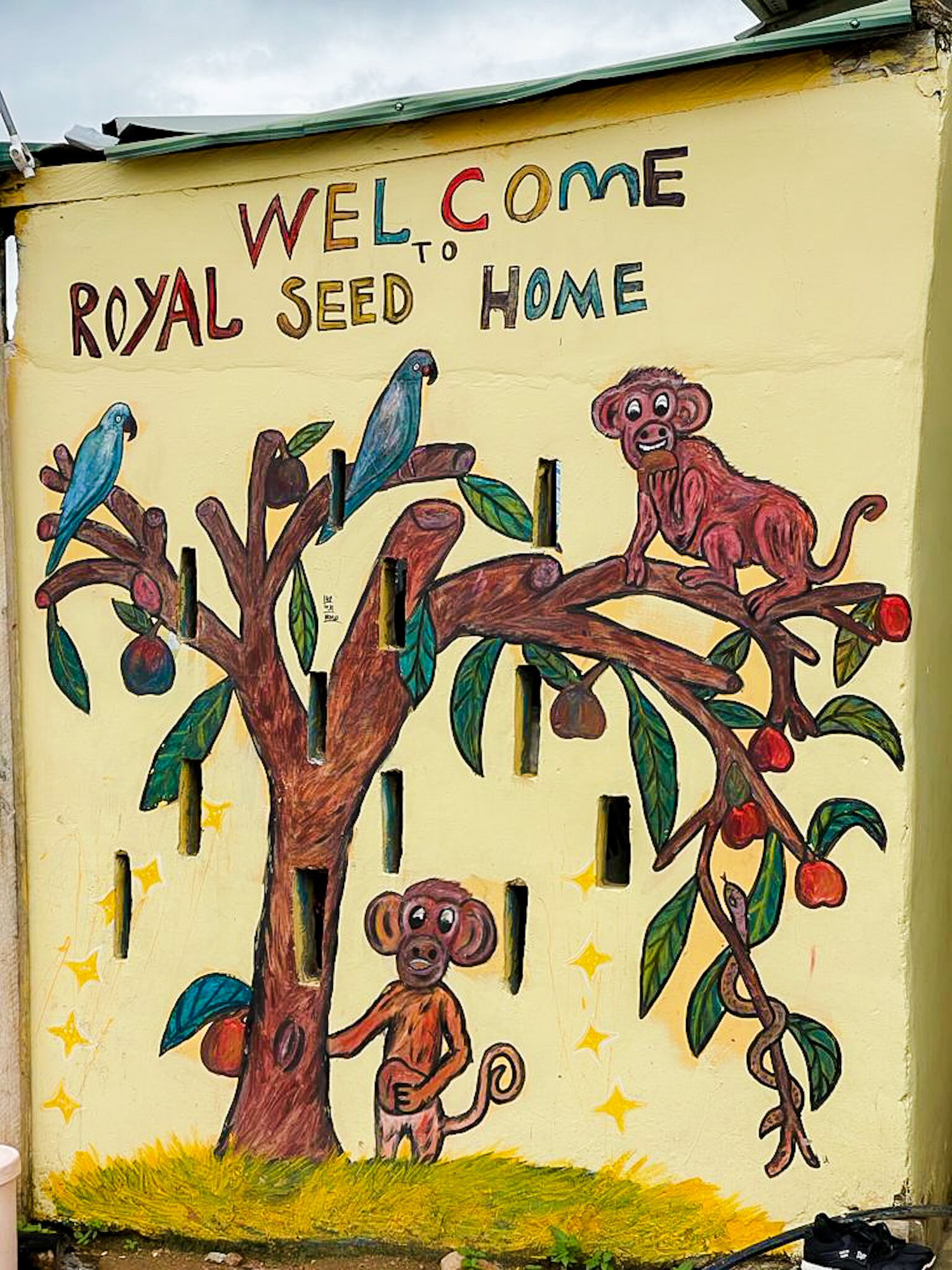 ABOUT ROYAL SEED — Royal Seed Home