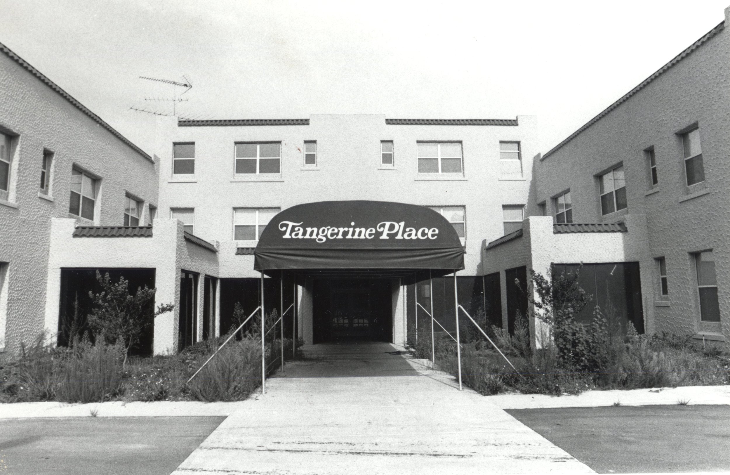 Tangerine 1982.jpg