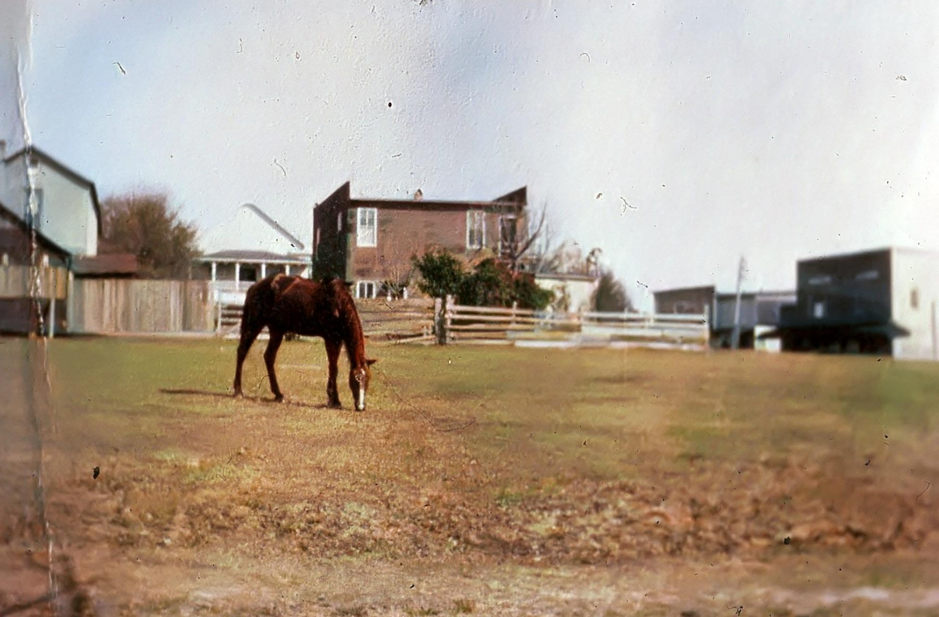 Original Jennings Building on the far right of this photograph circa 1901. Robert Martinez Old Brooksville in Photos and Stories
