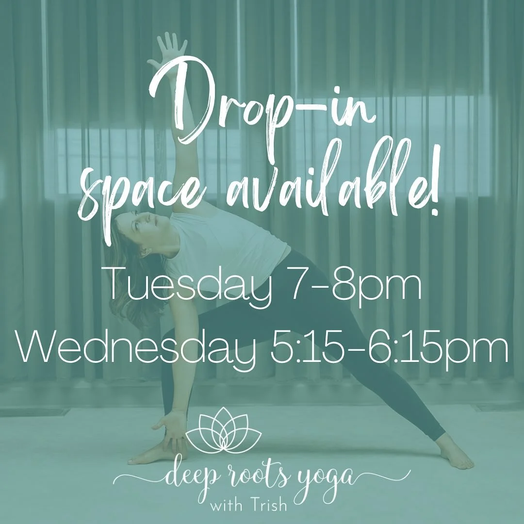Drop-in spots are available for our weekly yoga classes!  Join us Tuesdays at 7 or Wednesdays at 5:15 🧘

Vinyasa flow yoga classes match movement with breath to create a flow from posture to posture to strengthen and stretch. 

Modifications will be