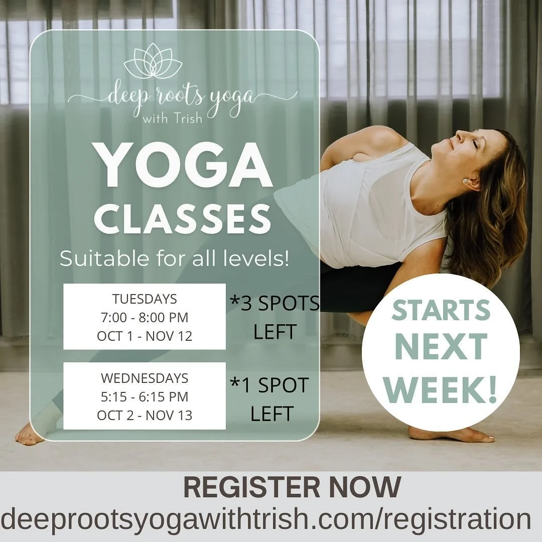 Yoga classes starting next week! 

We will be holding 2 separate 7 week fall Yoga sessions 

‼️ UPDATE: Both classes are now full - please message on a weekly basis for availability of drop-in space. 

🧘🏻&zwj;♀️Tuesdays: 
October 1 to November 12
7
