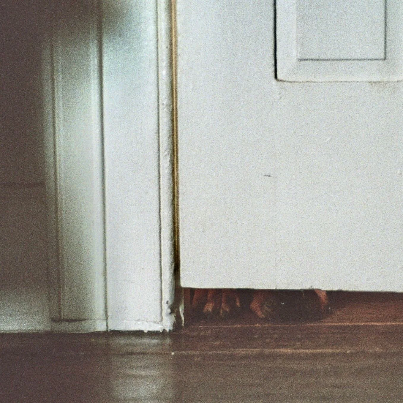 Hello internet familiglia here is the third and final single it&rsquo;s called &ldquo;First Song of the Record&rdquo; and it&rsquo;s out today and it&rsquo;s a little surrealist fingerpicking collage. None of these singles are about dogs, but the alb