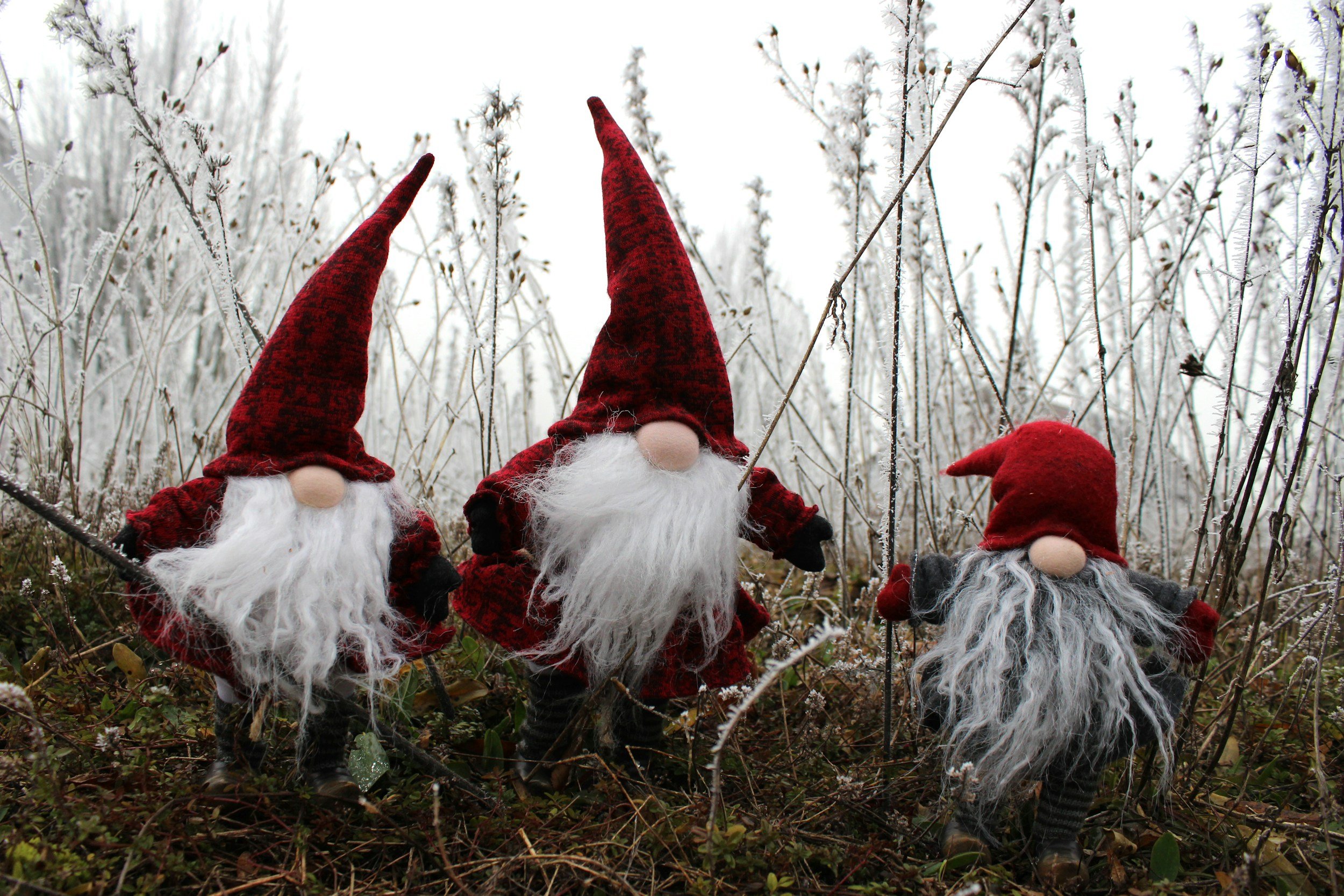 3-D Gnome Felting Class